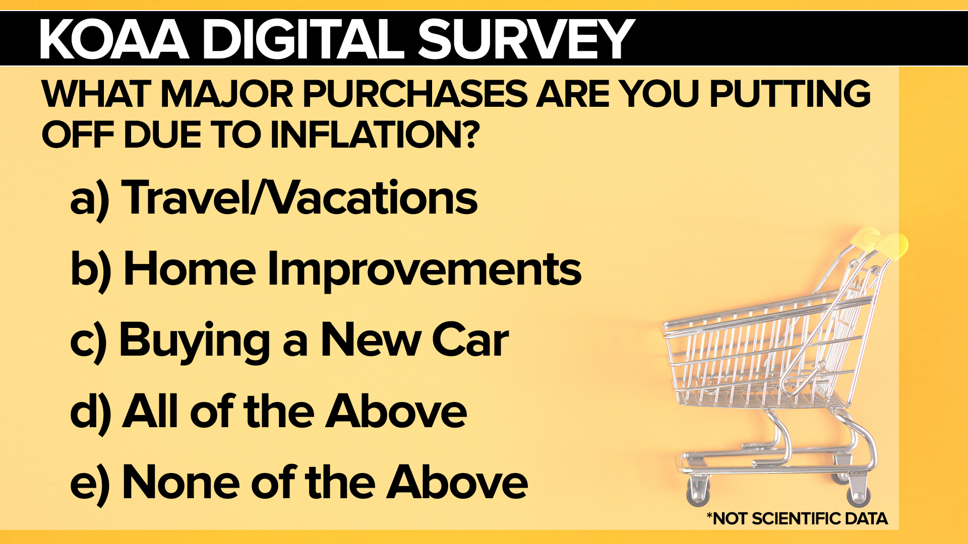 SURVEY Inflation Purchase.jpg