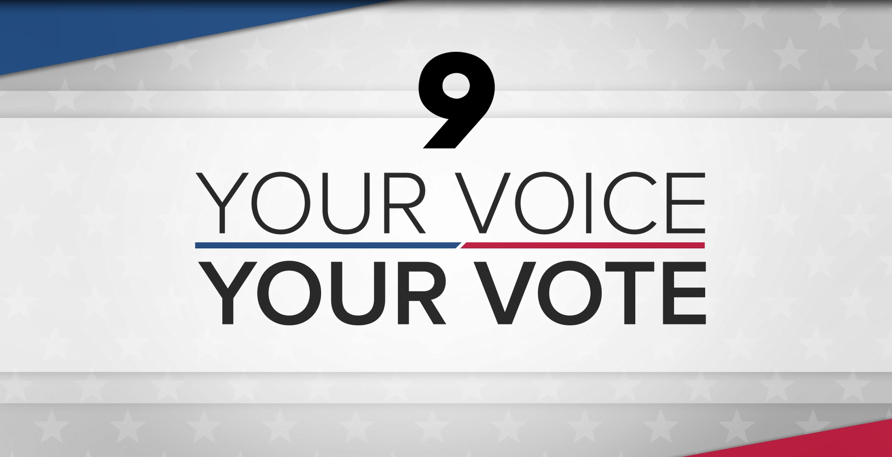 Your Voice Your Vote