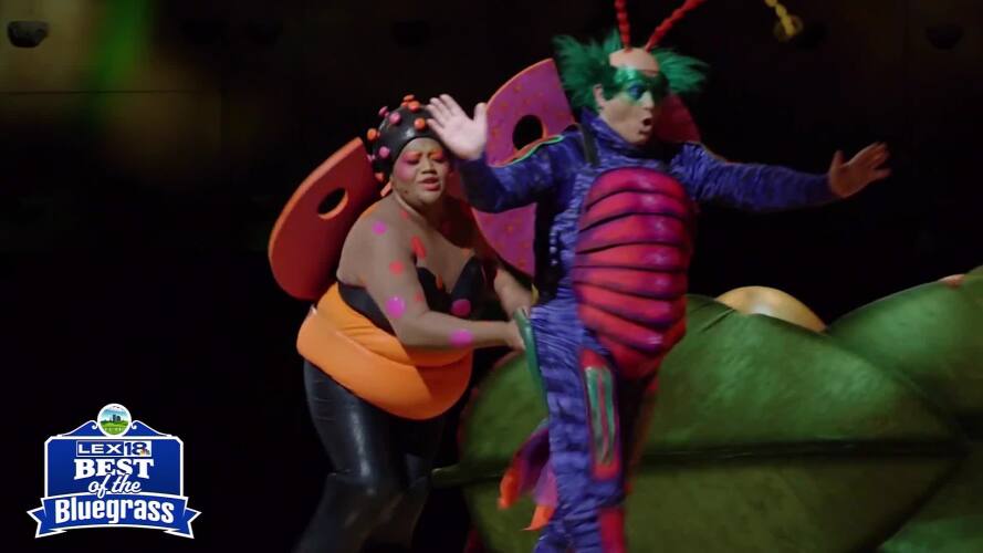 cirquede.jfif