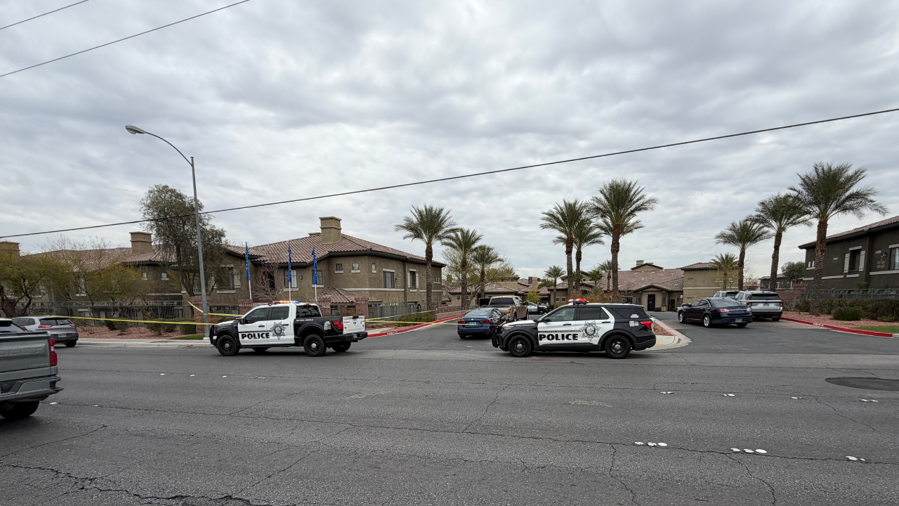 Rainbow at Robindale apartment shooting