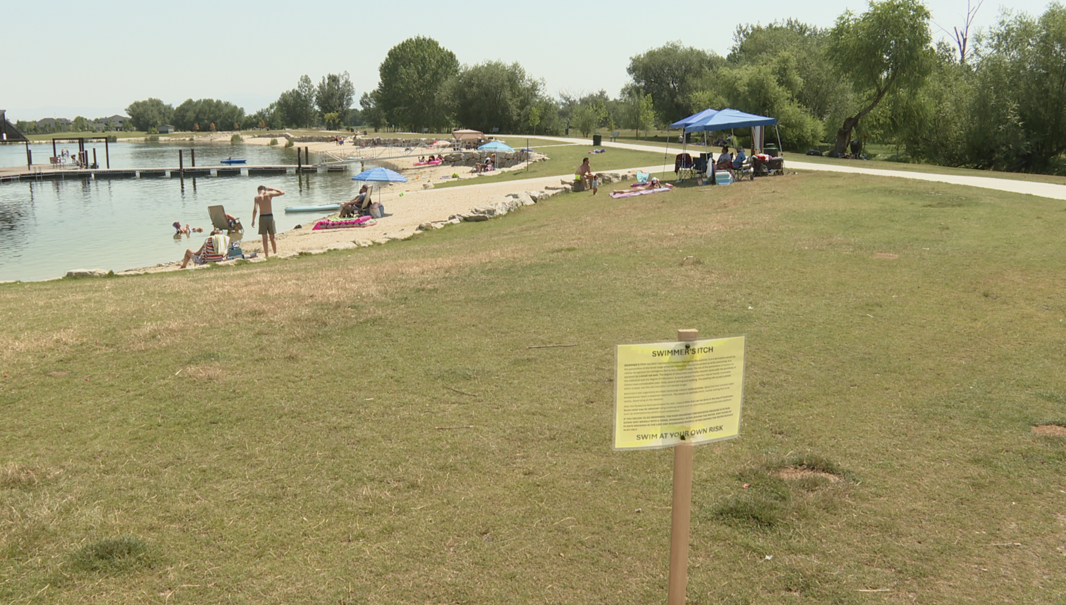 STAR SWIMMERS ITCH SIGN.png