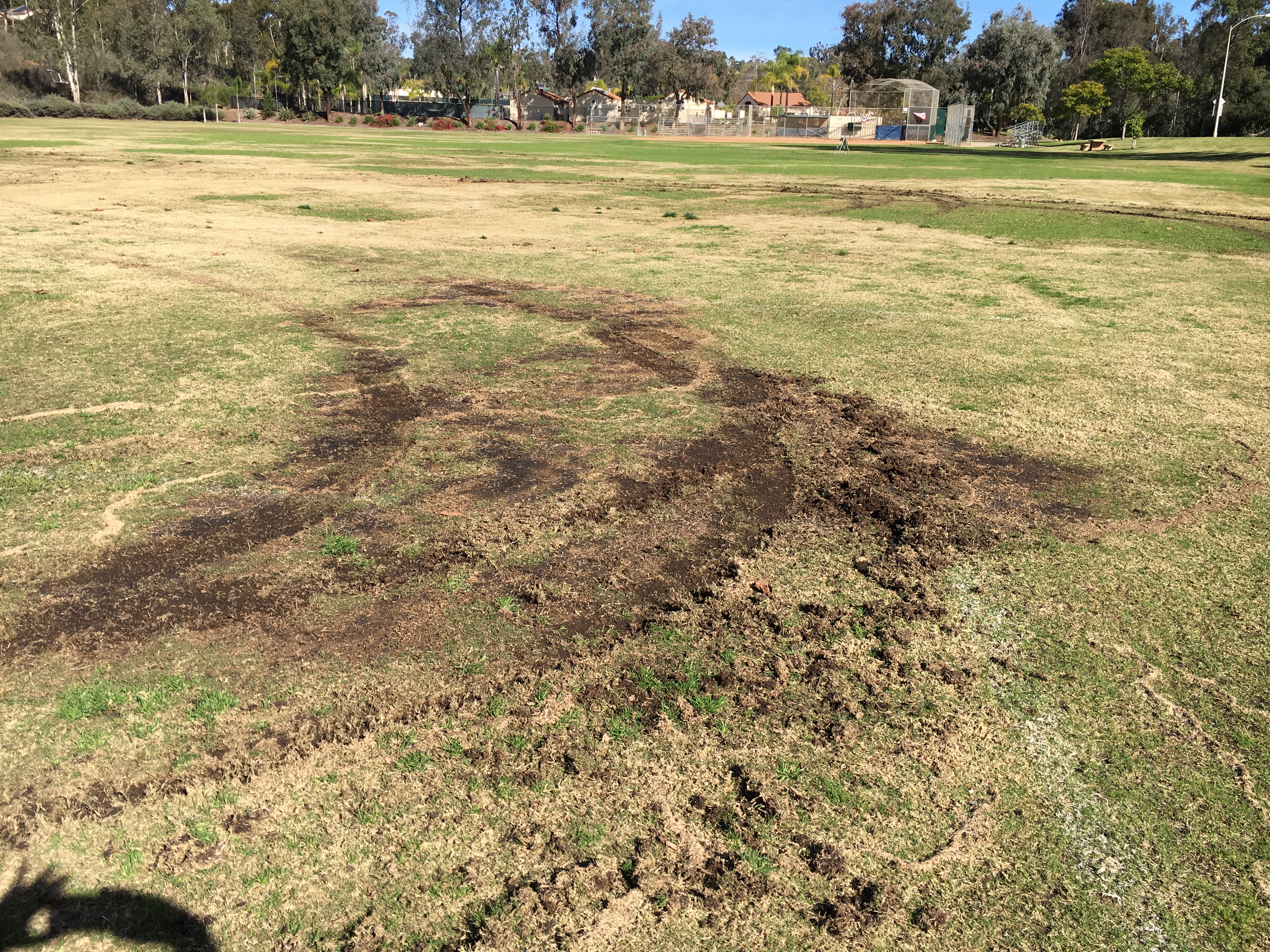 Scripps Ranch Jerabek field vandal
