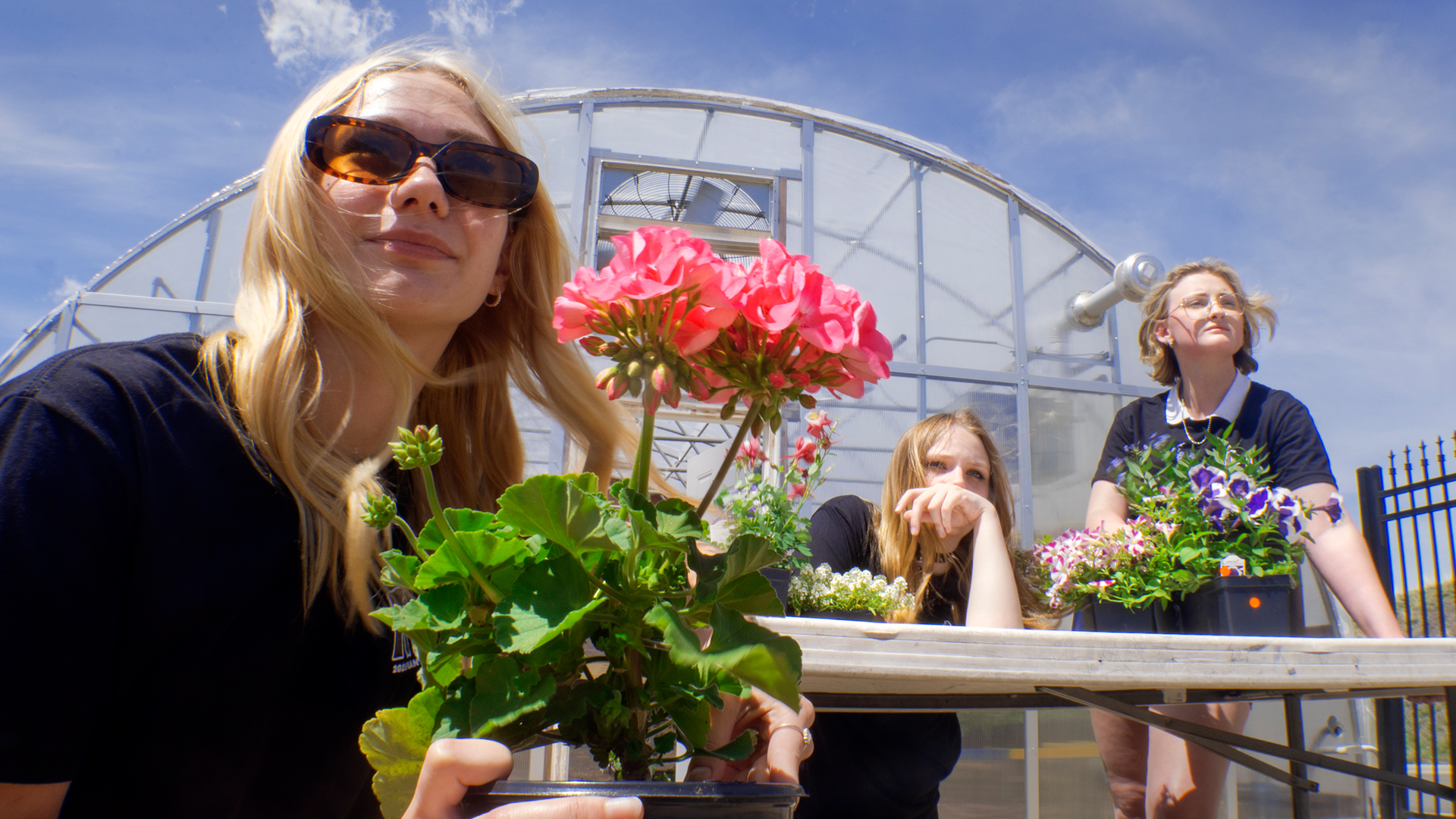 FFA FLOWER SHOOT 1160110 THUMBNAIL.jpg