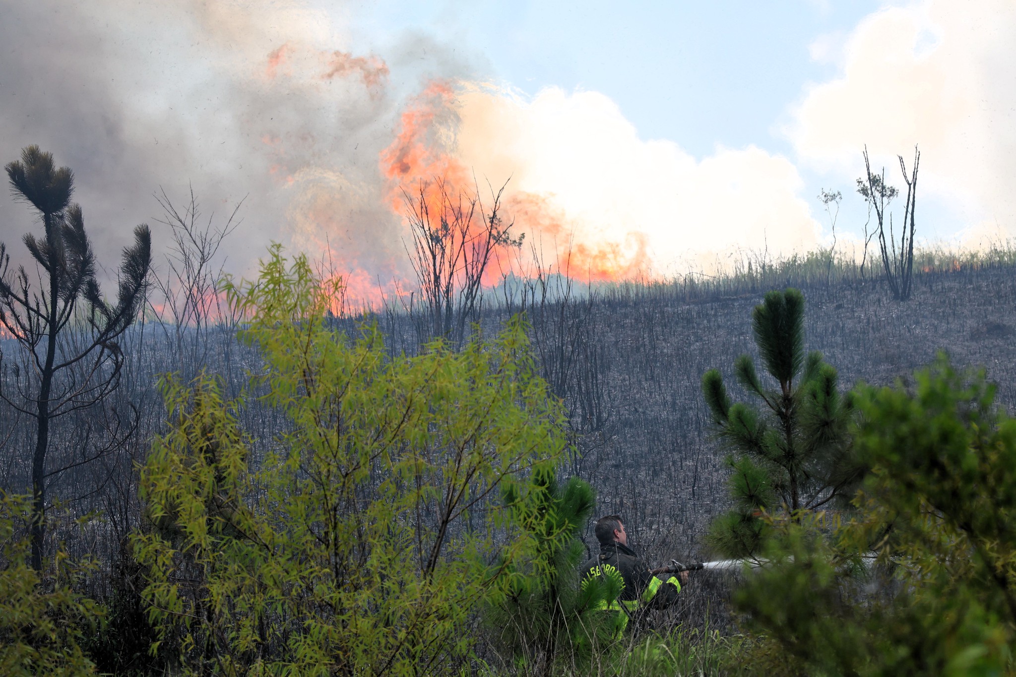 Plant City brush fire