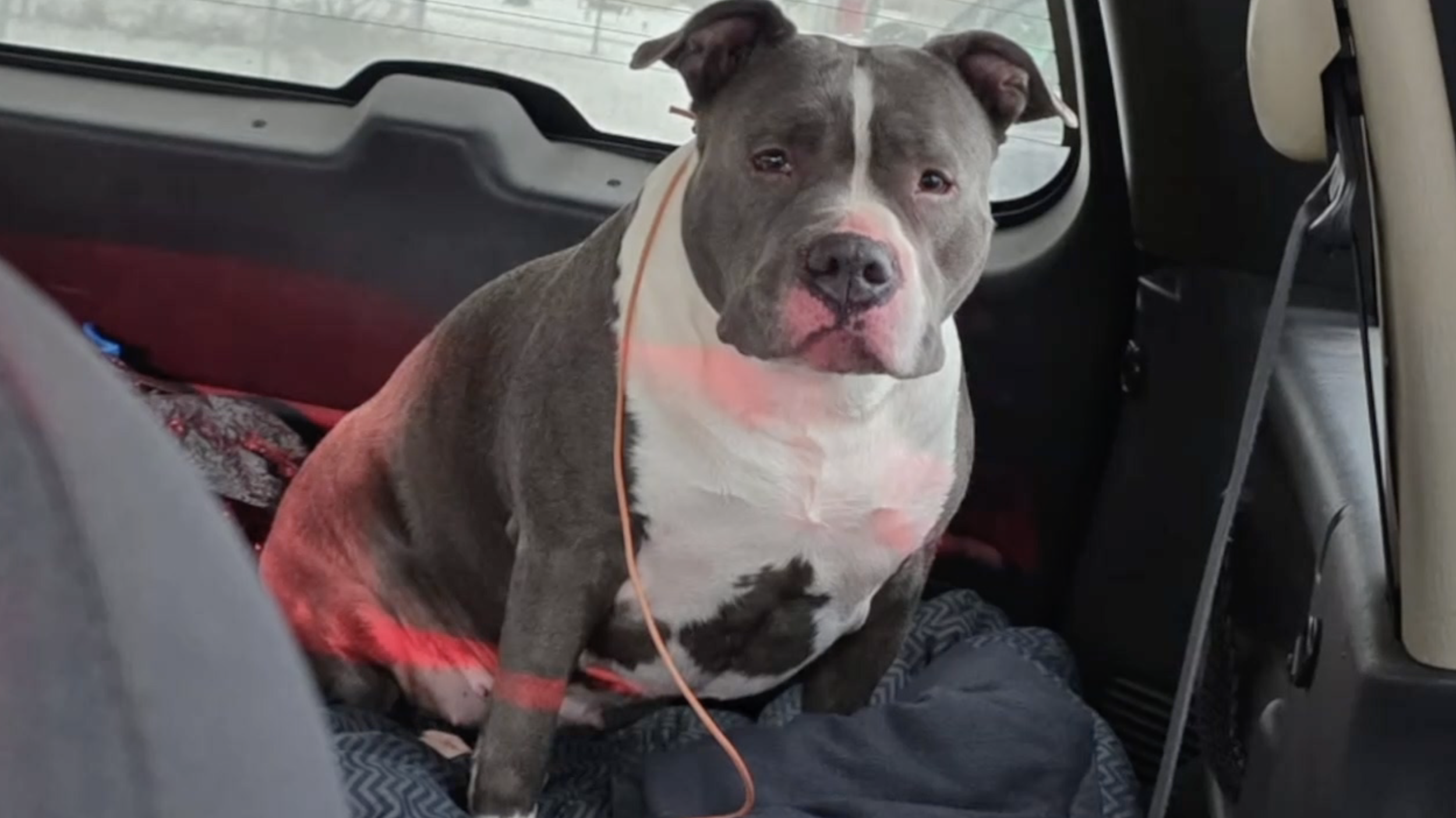 Screenshot 2025-12-10 at 6.43.55 PM.png