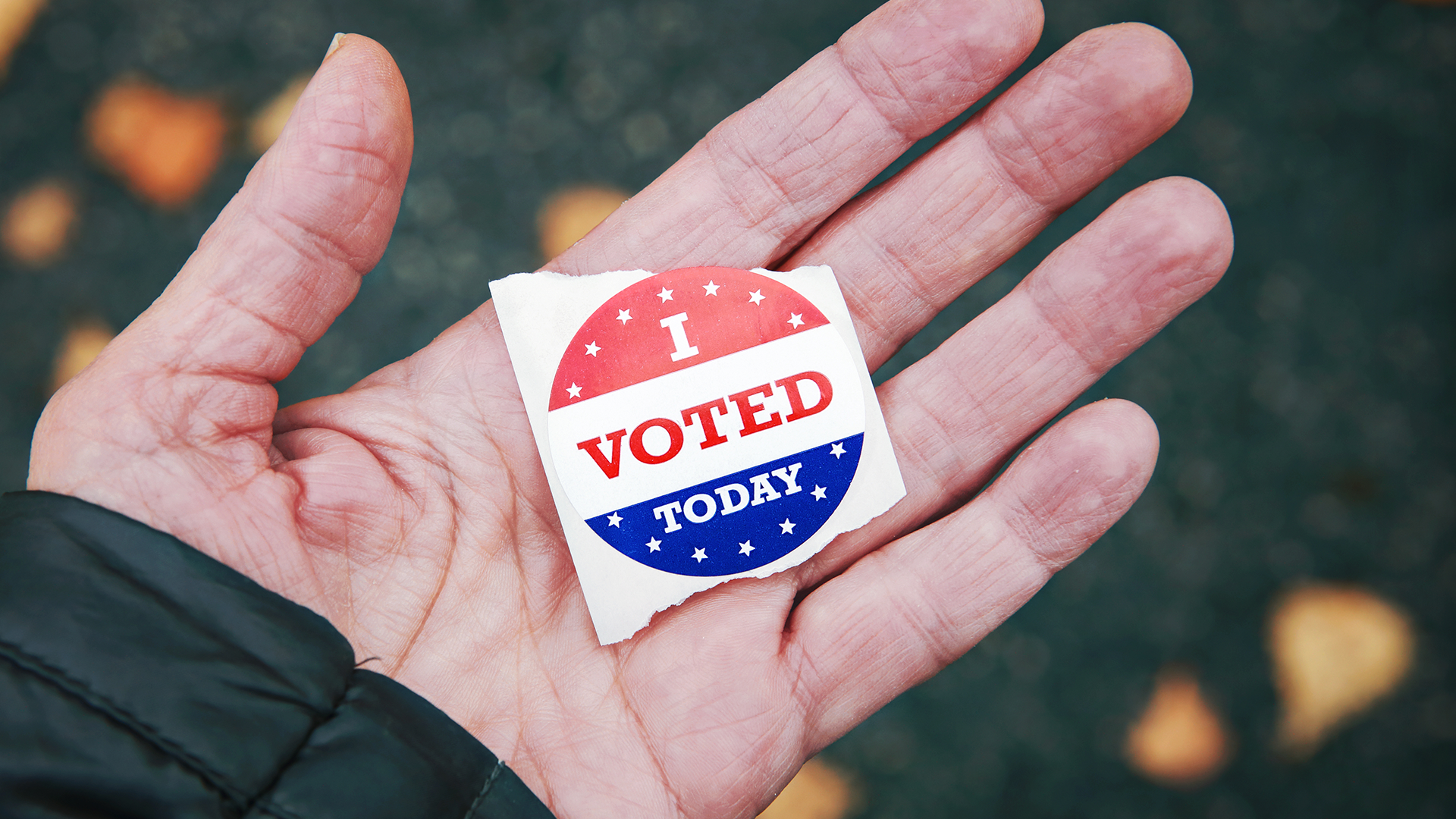 Vote sticker