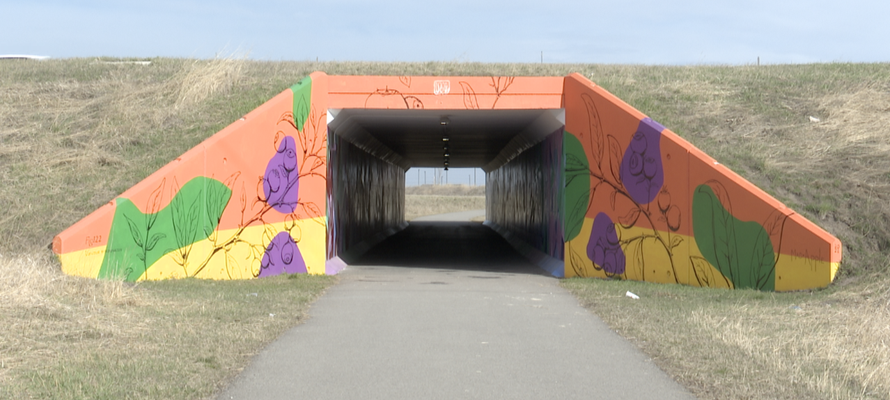 Rails to Trails Tunnel 