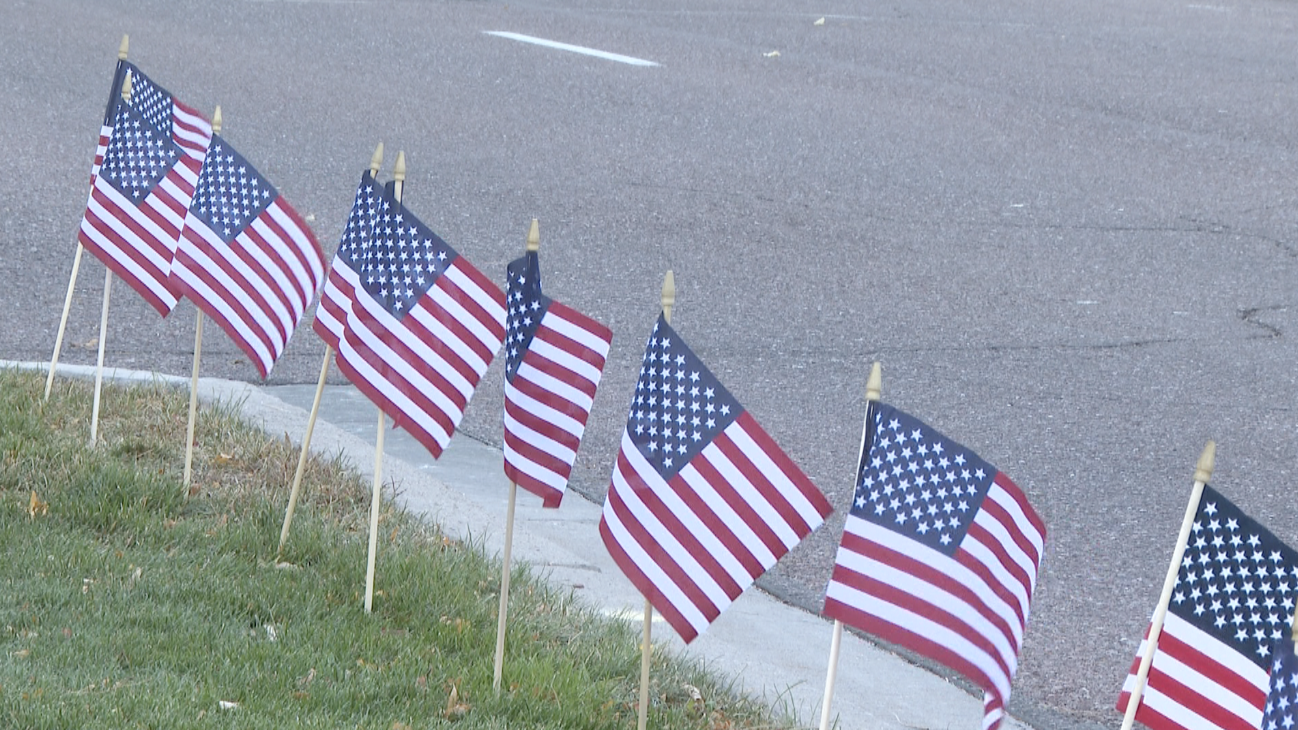 flags salute from springs