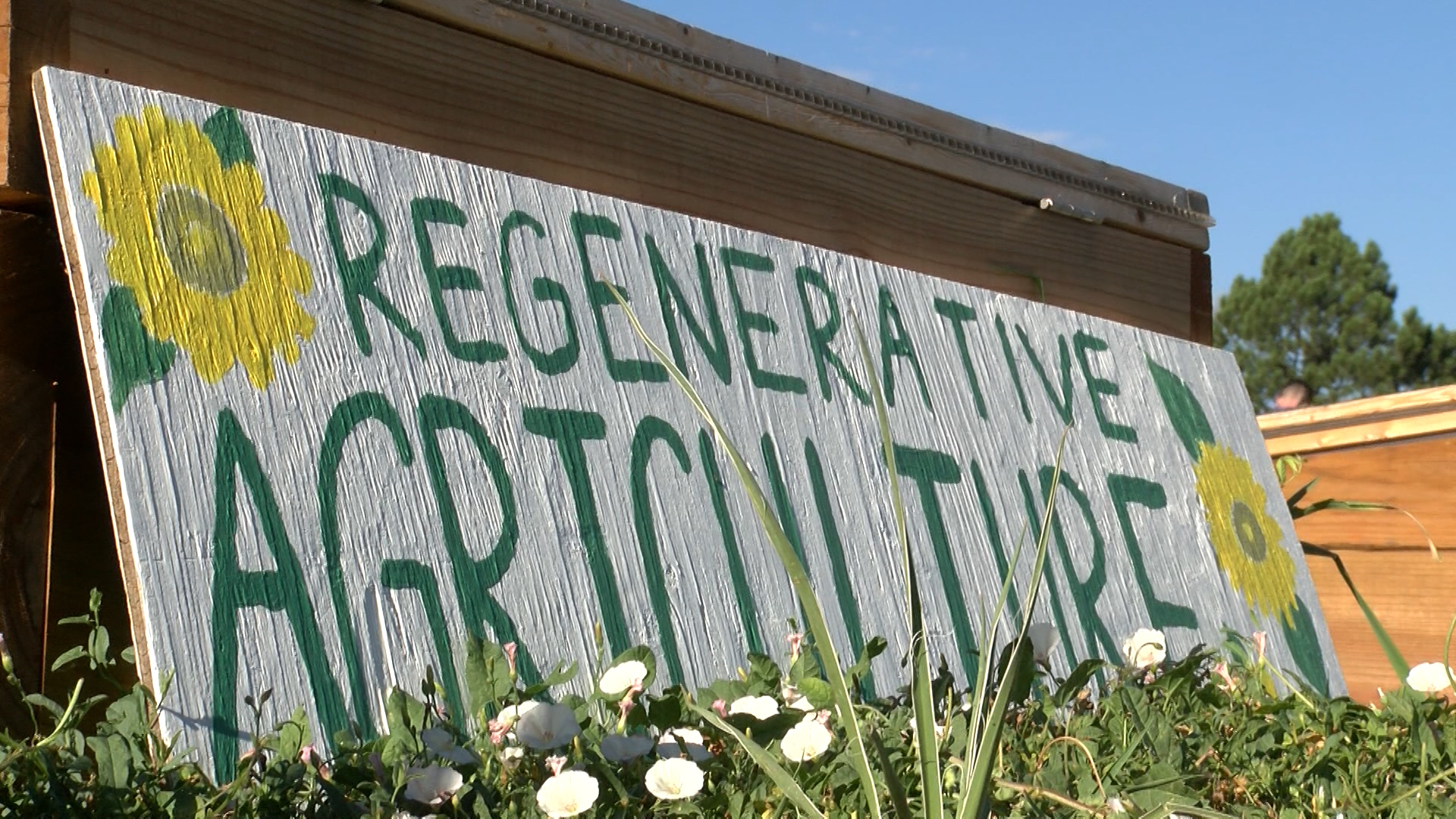 Sustainable Education Experience
