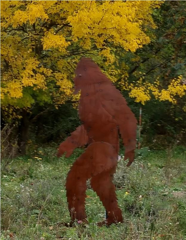 Stolen big foot.JPG