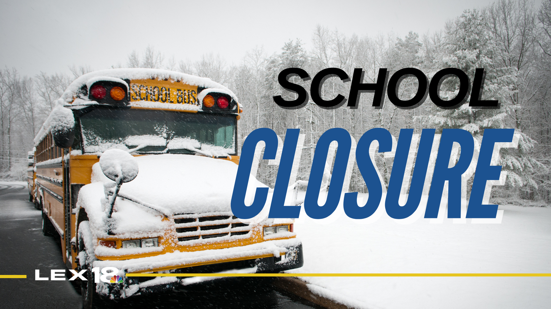 Featured Image Custom Edit (5).png