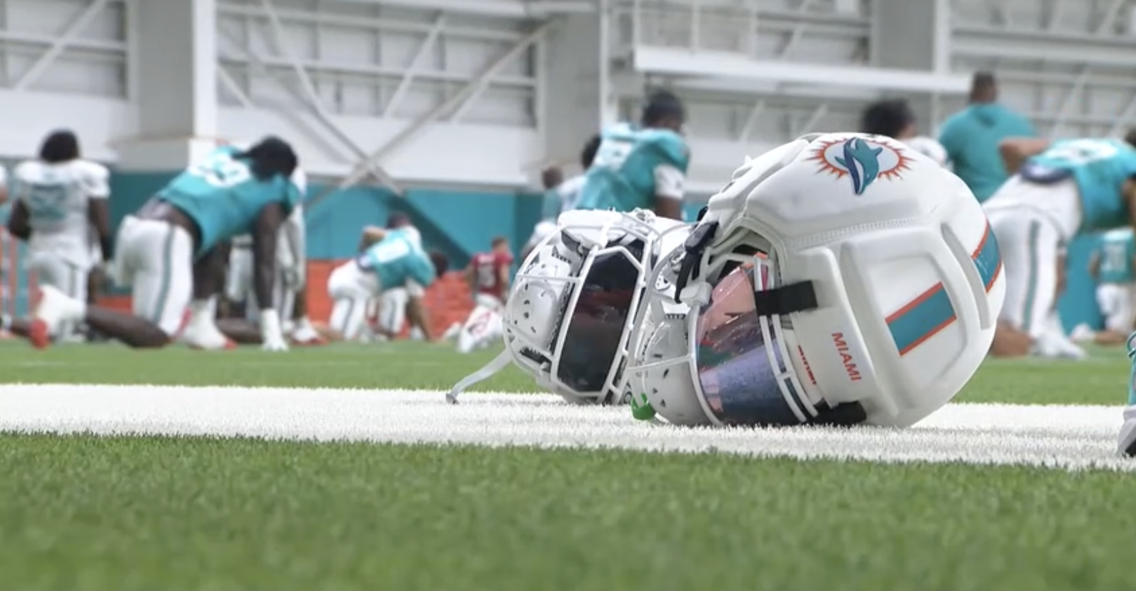 Dolphins training day 6 Aug 3 2026.png