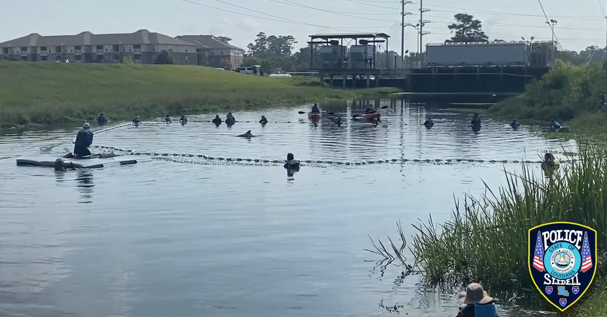 Slidell dolphin rescue.PNG