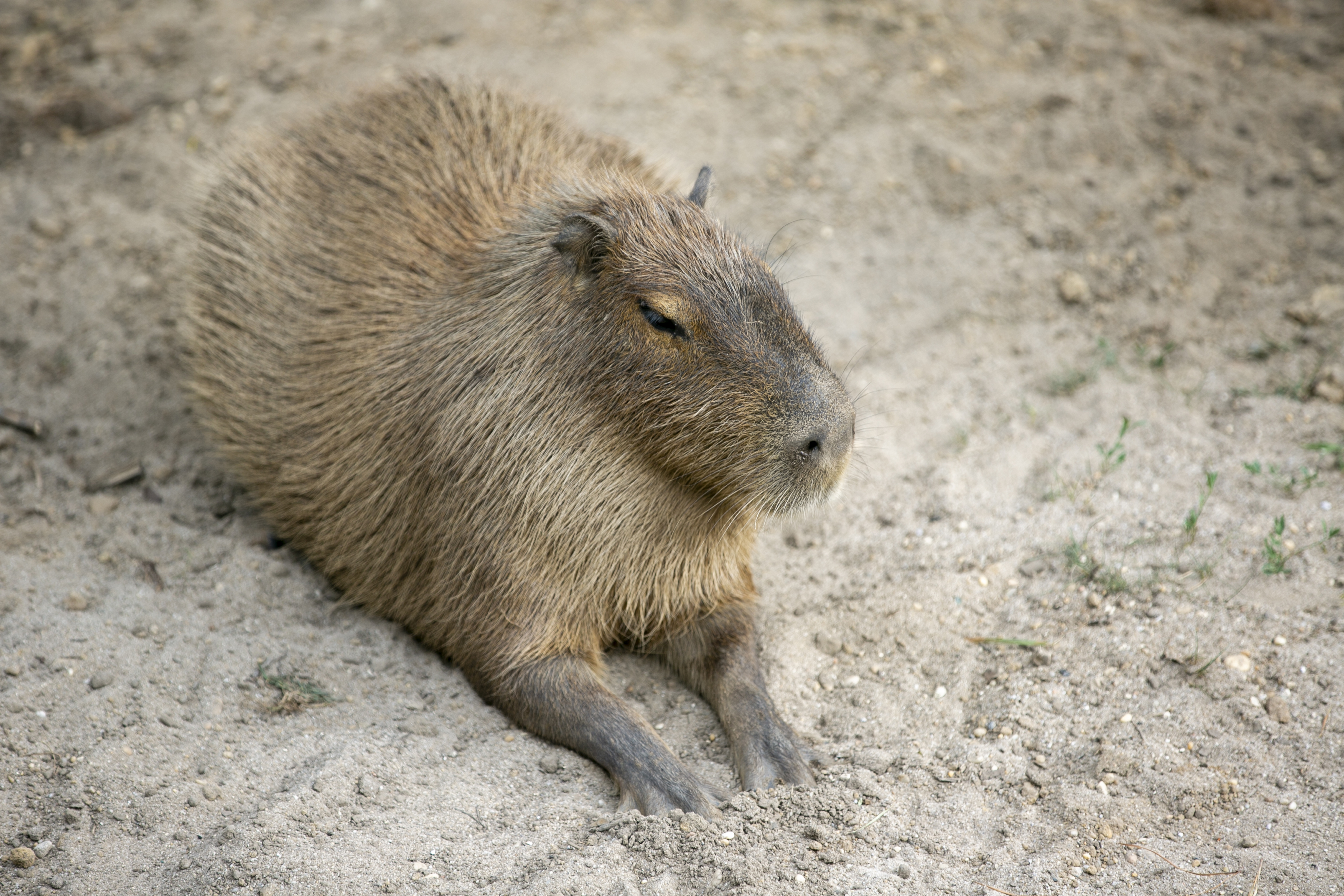 New Jersey Daily Life