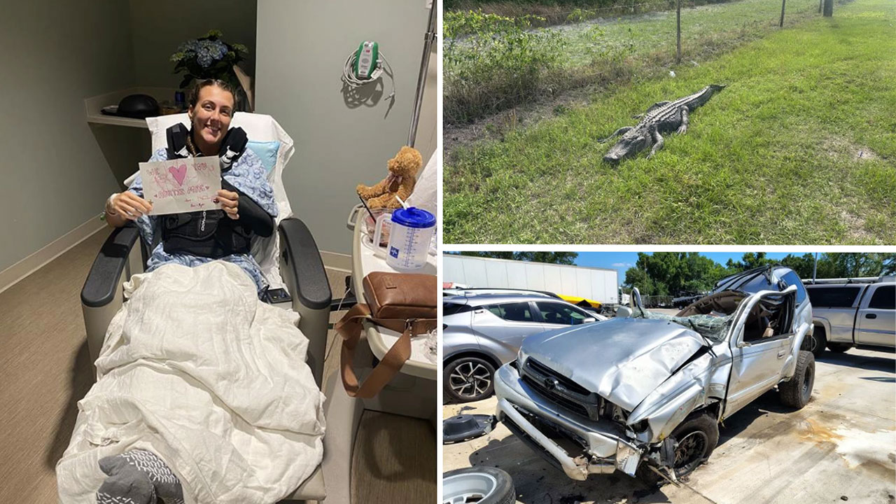 A Florida woman survived a rollover crash after hitting a nearly 9-foot alligator in Sarasota County.