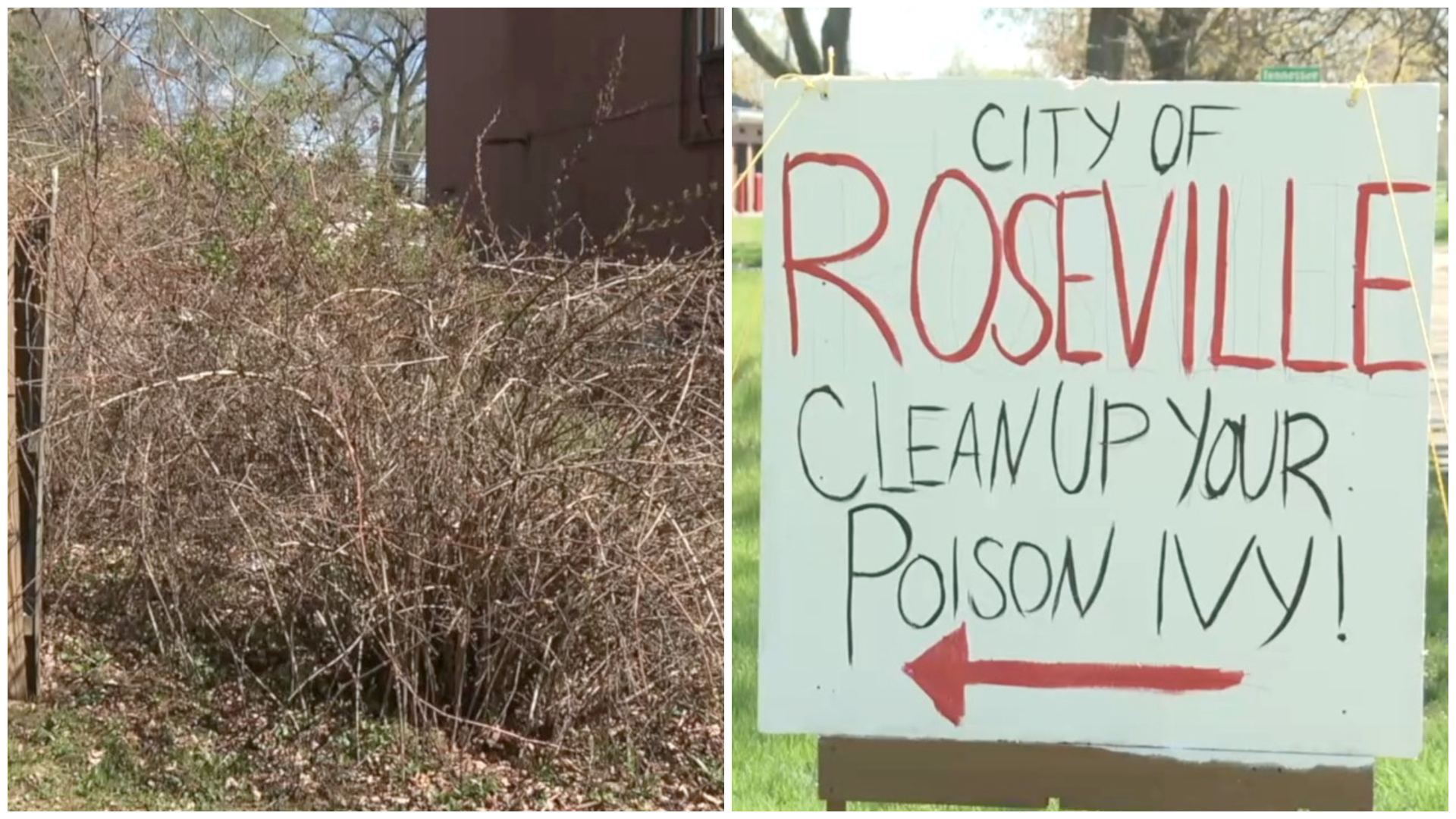 photo-collage.png (7).png