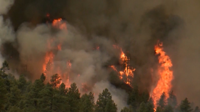Wildfire.jpg