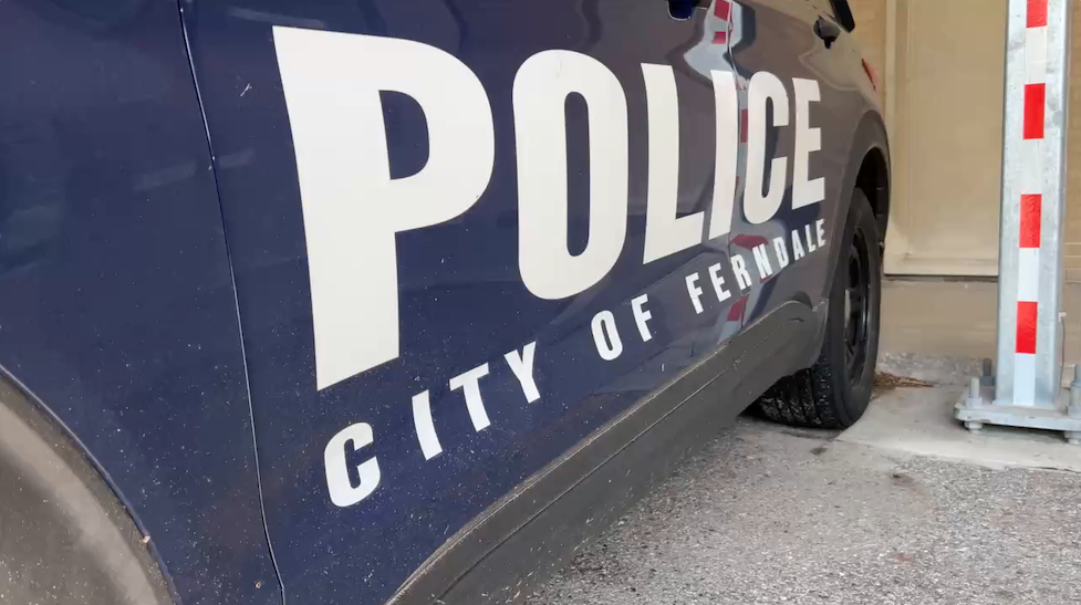 Ferndale generic