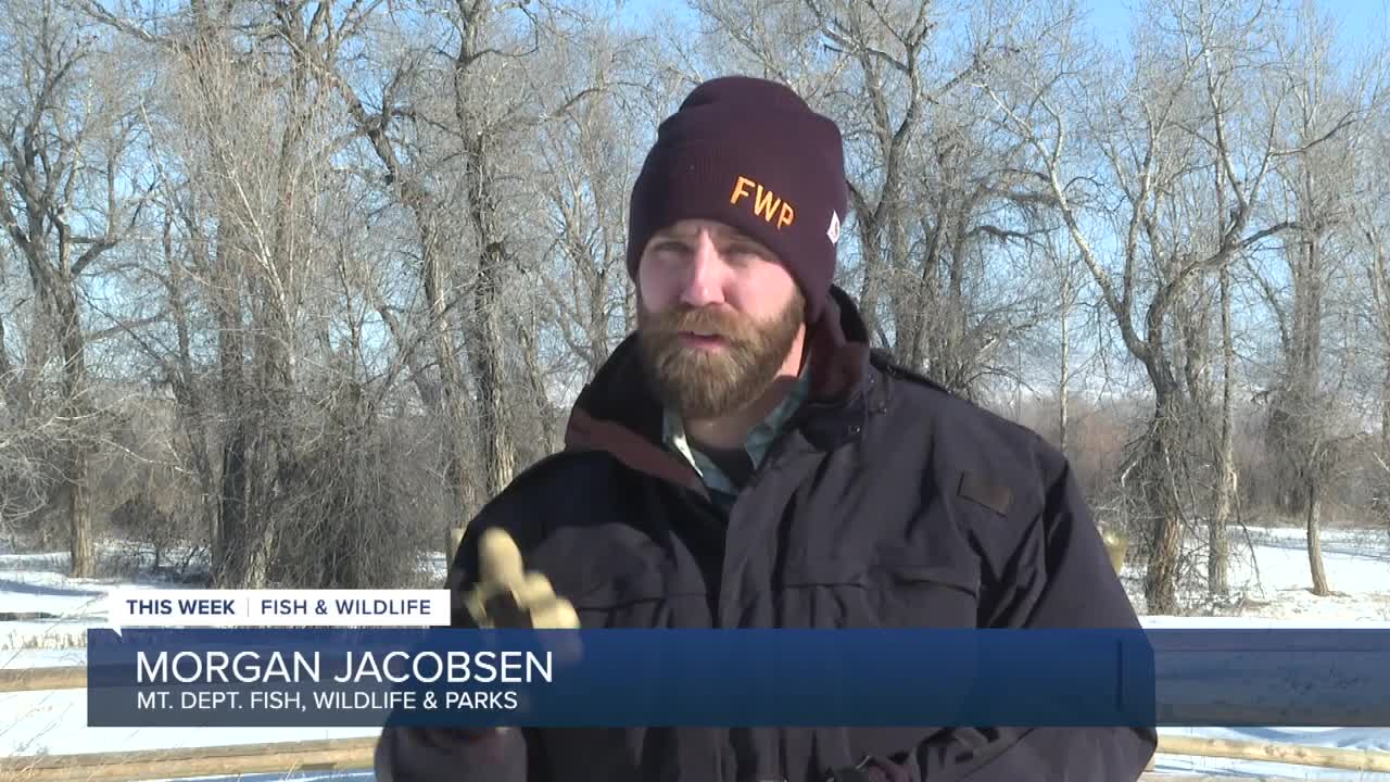 morgan jacobsen 021725.jpg
