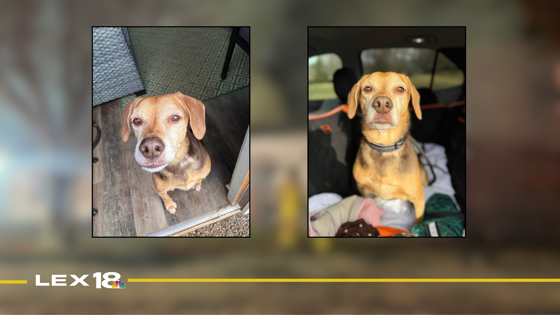 Featured Image Custom Edit (16).png