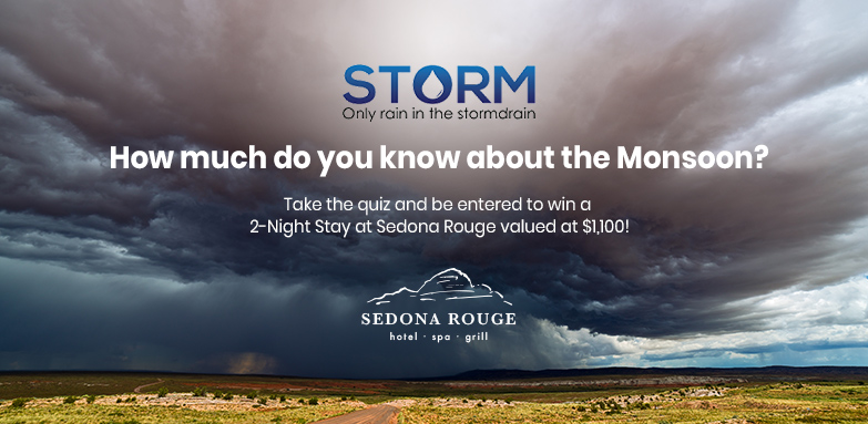 DA47433_KNXV_STORM_Monsoon_Season_2021_783x383.jpg