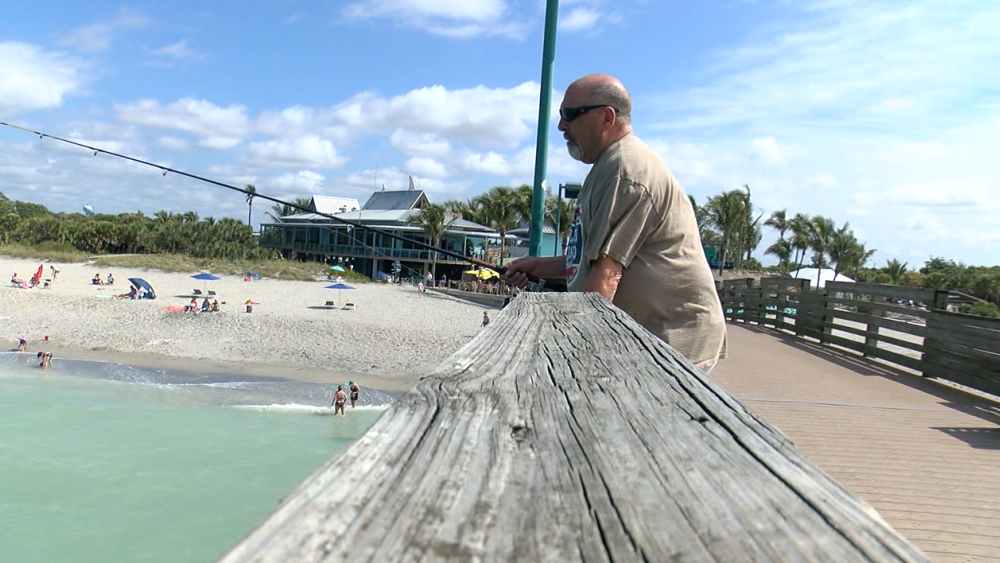 fishing in Venice Florida