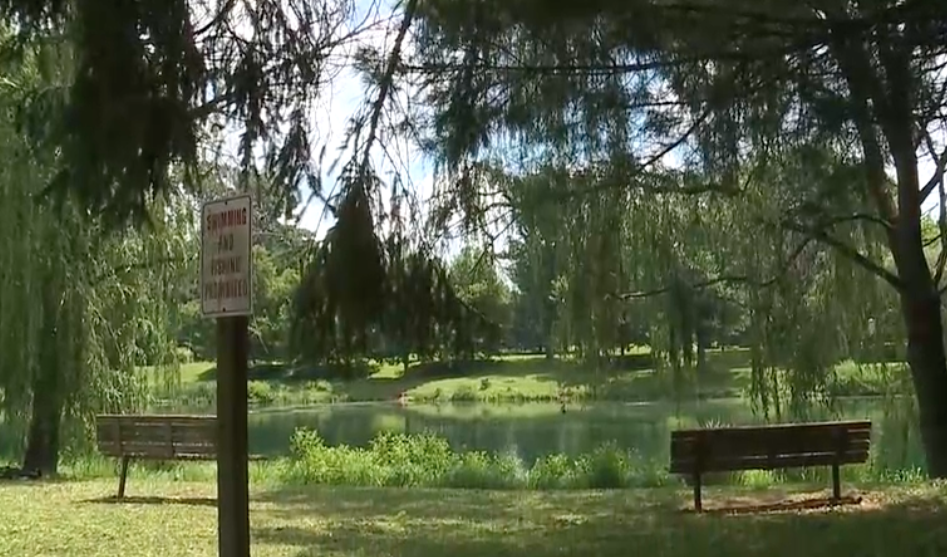 Bel Air Pond