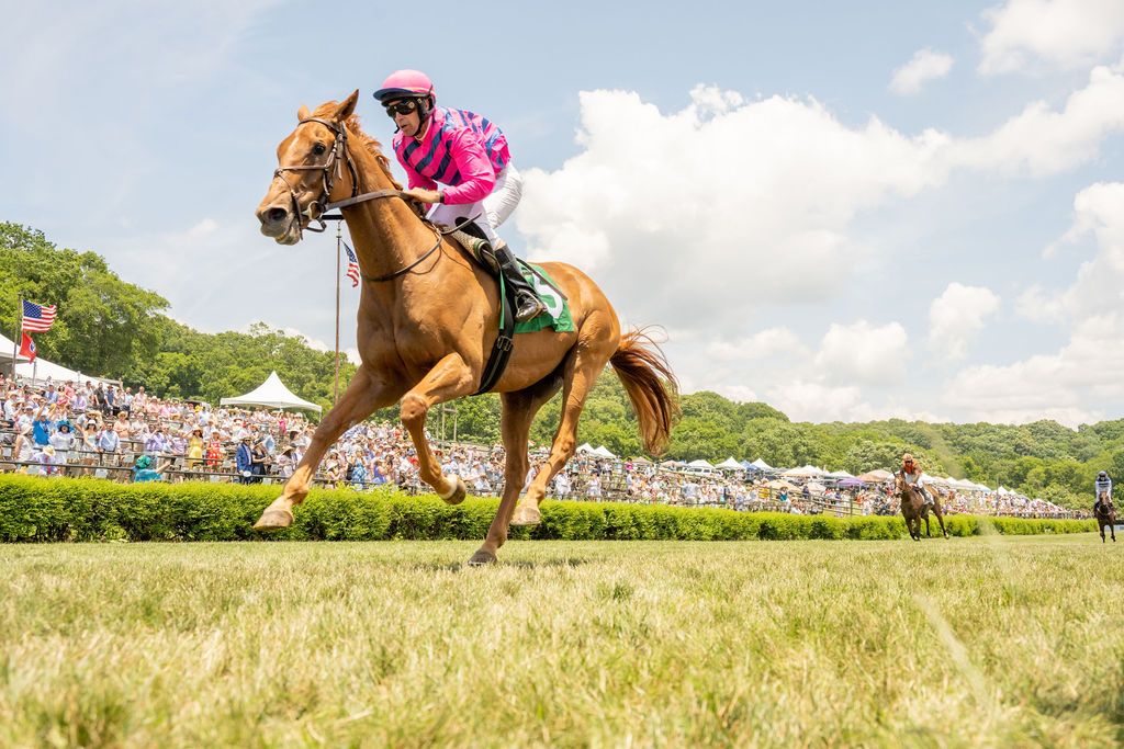 steeplechase