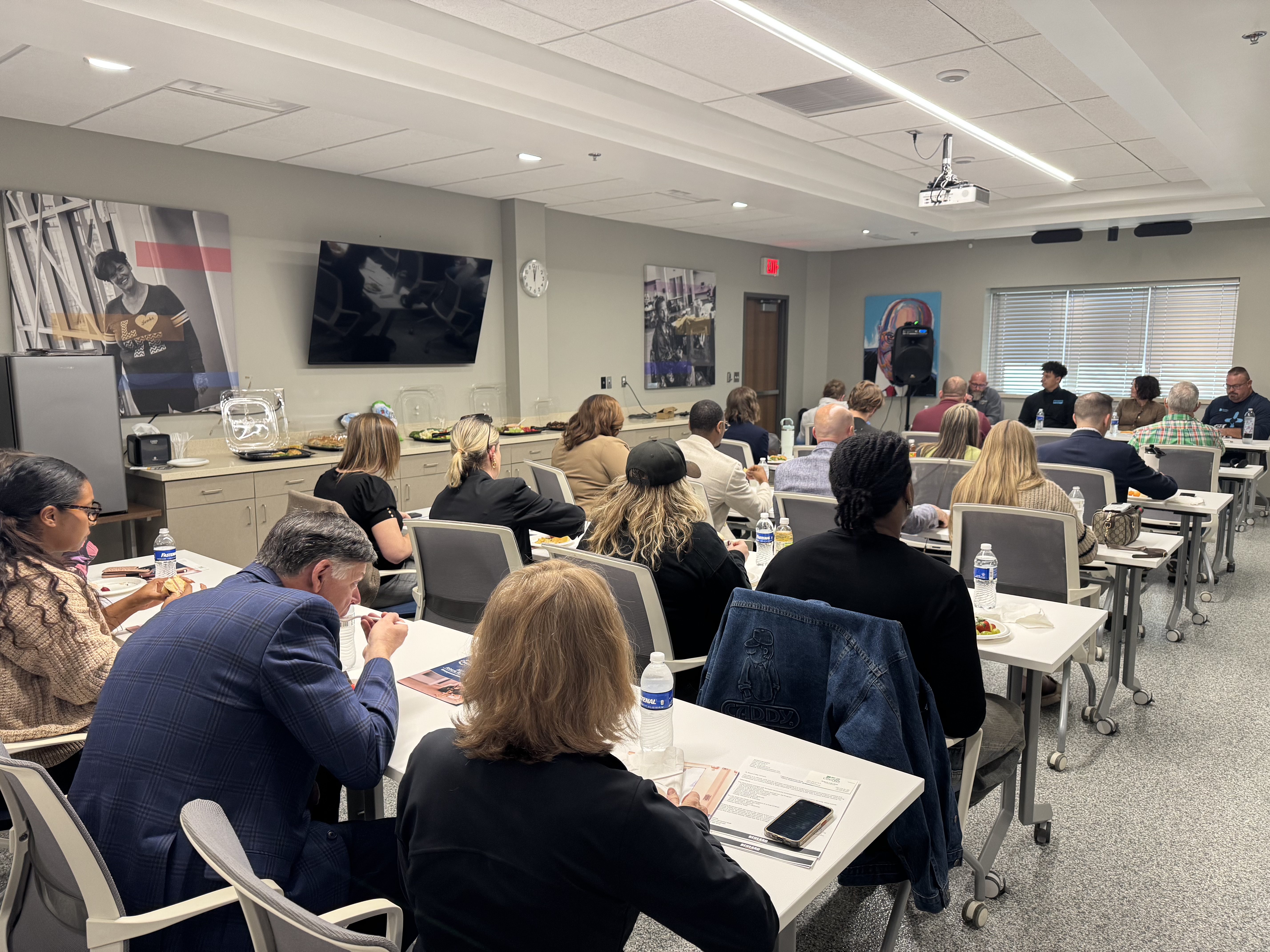 Operation SAFE panel 