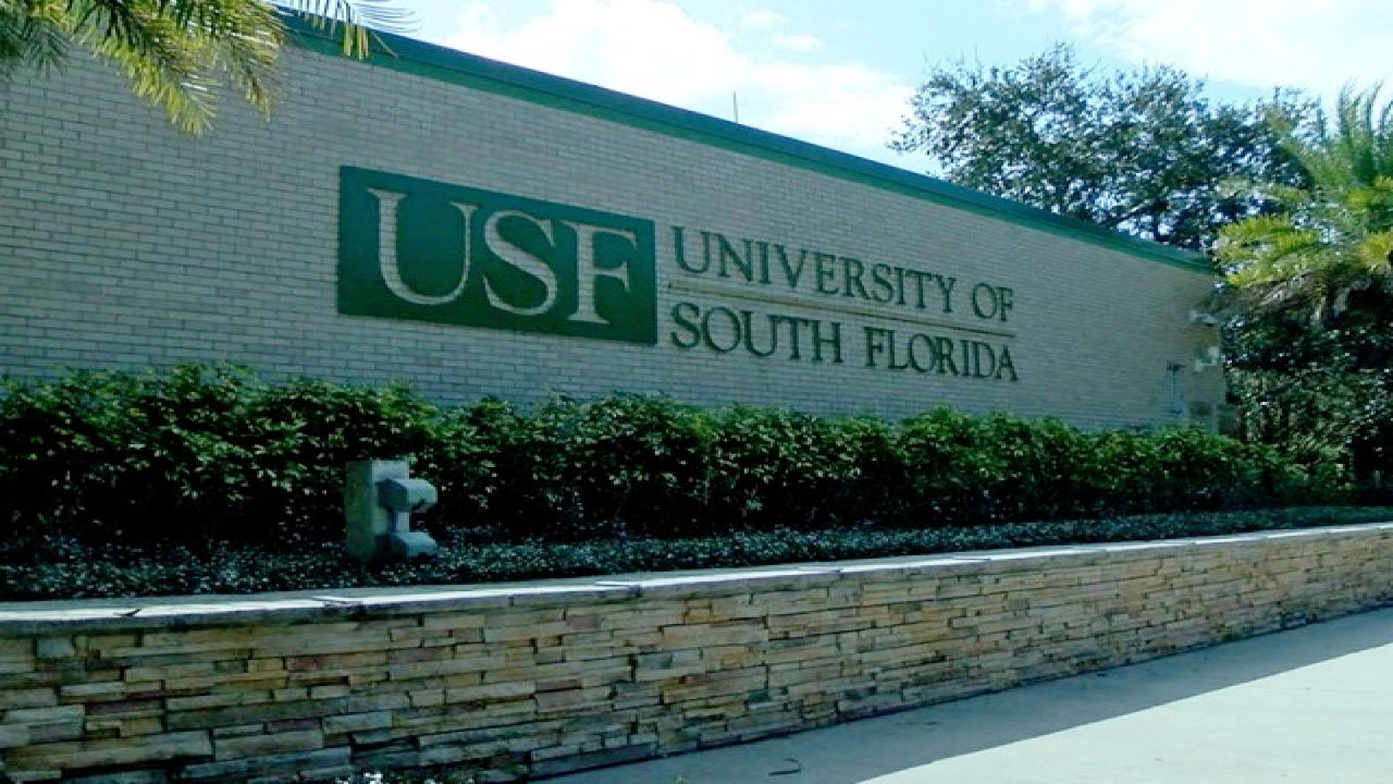 wptv-university-of-south-florida-.jpg