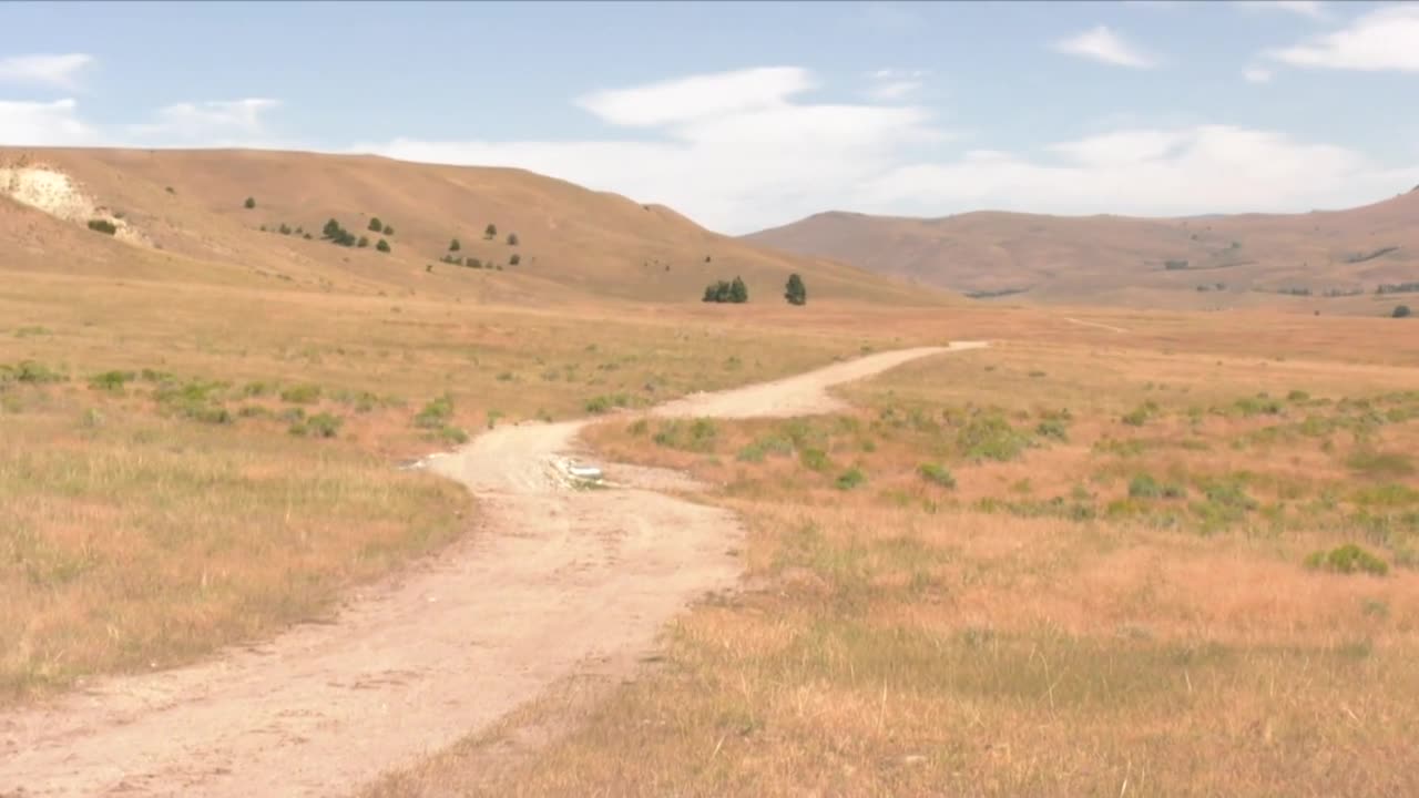 Poster image (10).jpg