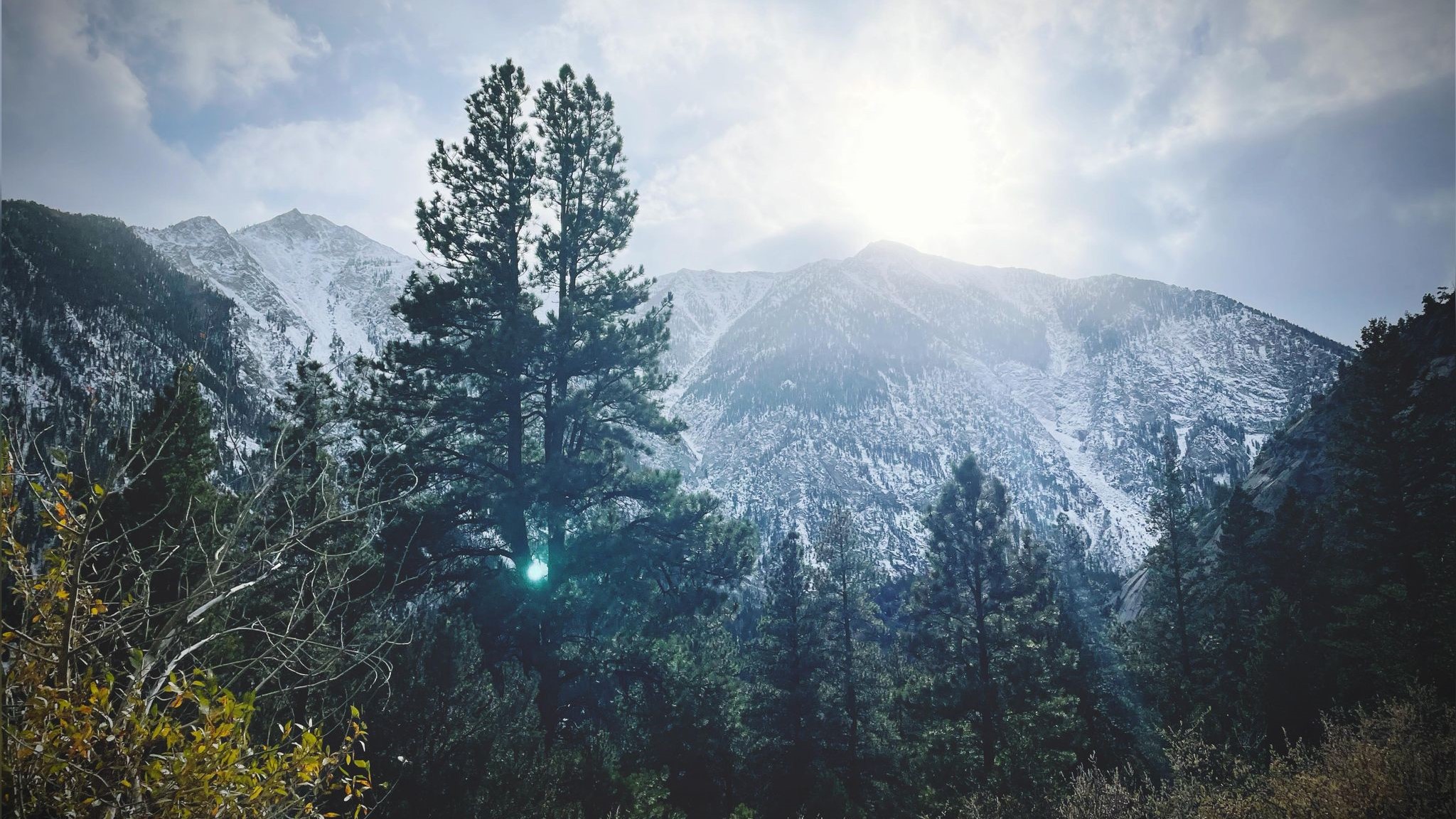 Tuesday SAint Mount Antero