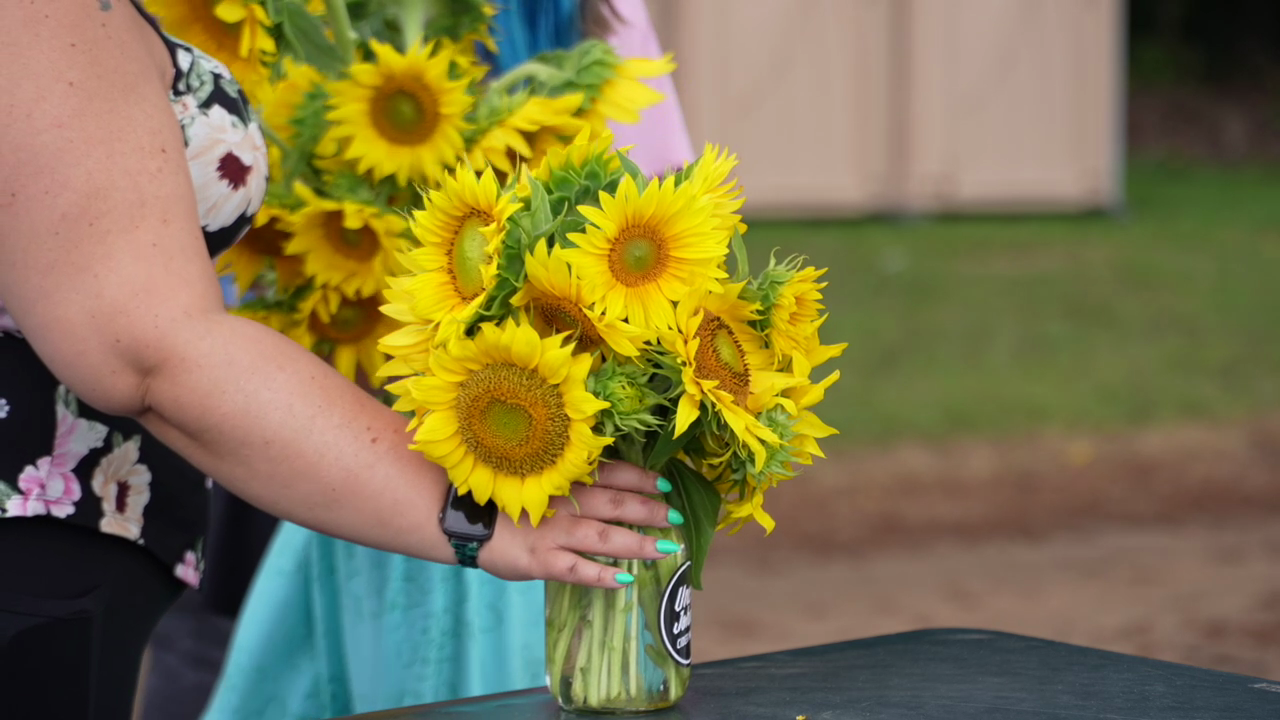 A sunflower bouquet built at Uncle John's Cider Mill 