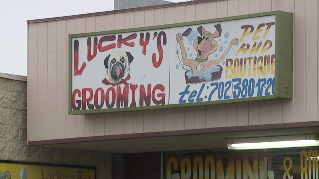 Owner claims dog was paralyzed at Las Vegas grooming shop, others come forward with similar claims