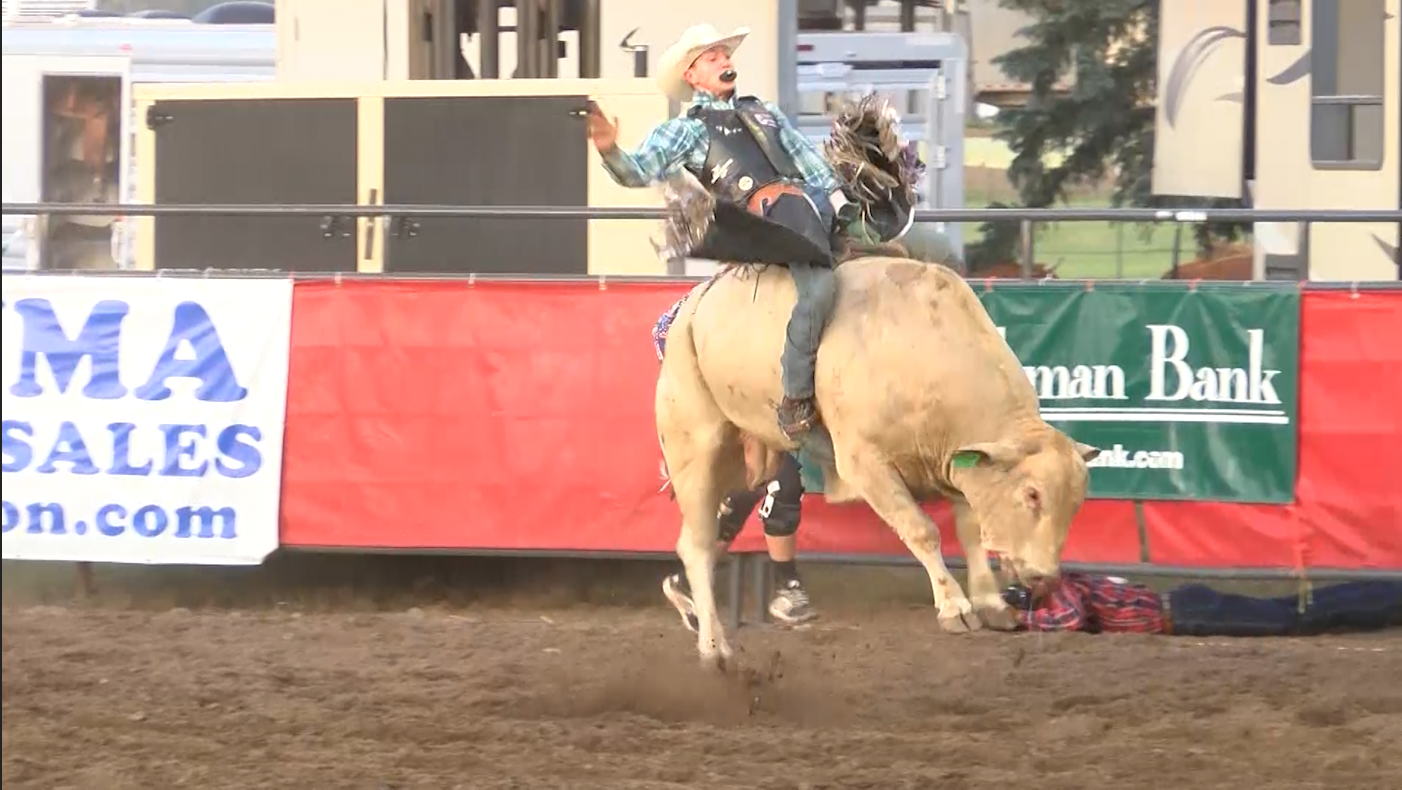 Bull riding at ExpoPark.png