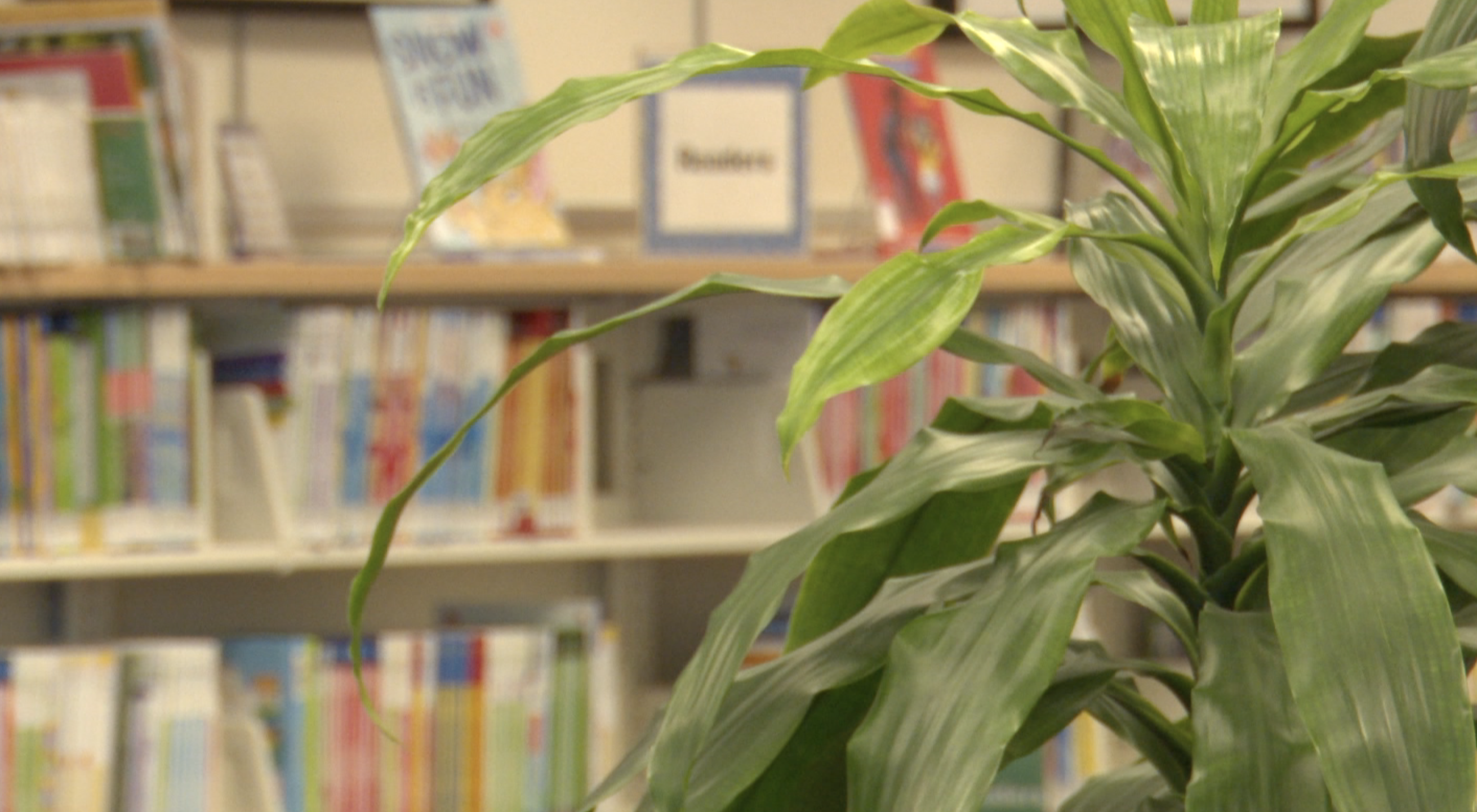 Pima County Public Library