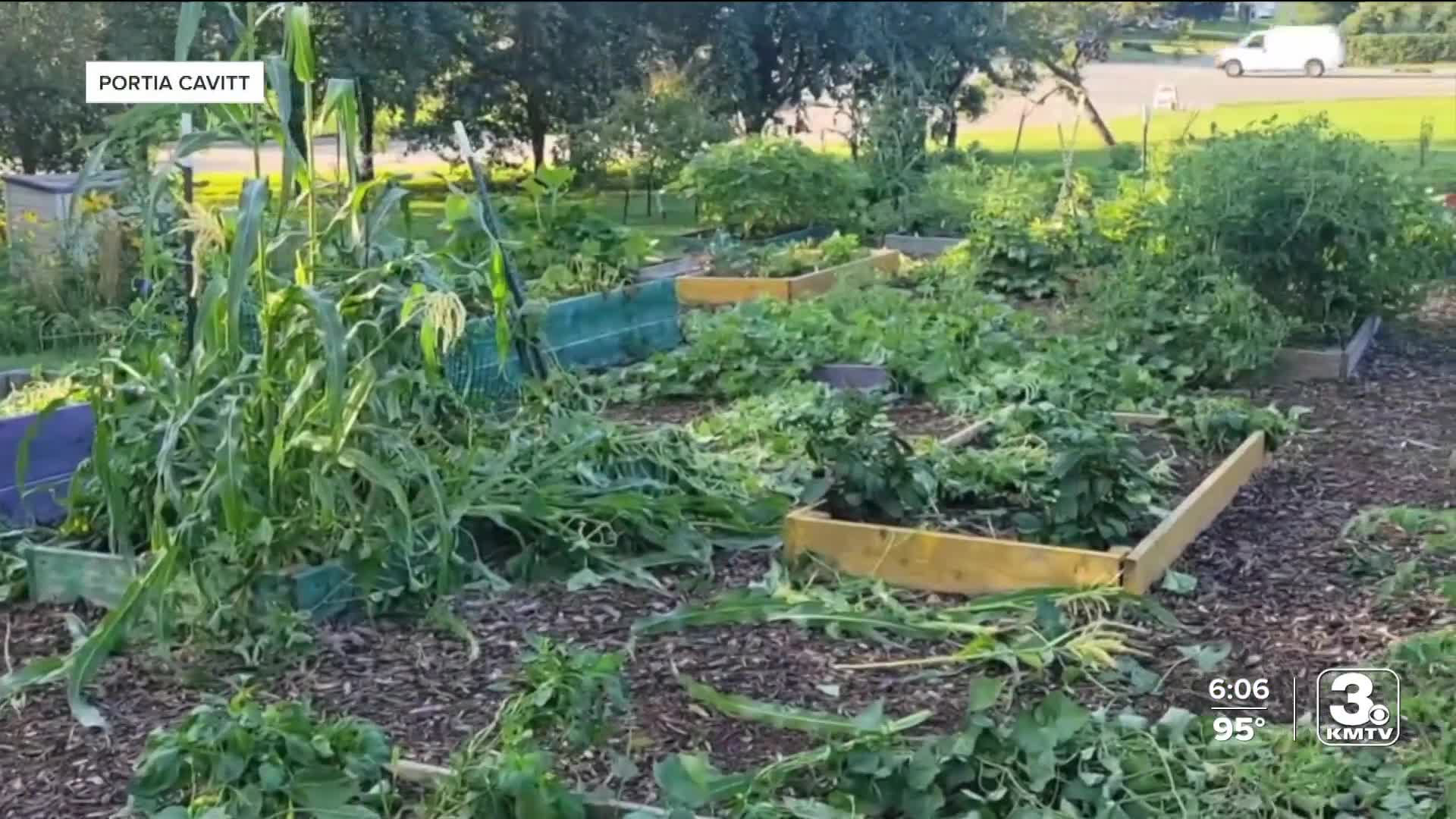 Poster image - 2026-07-17T181425.925.jpg