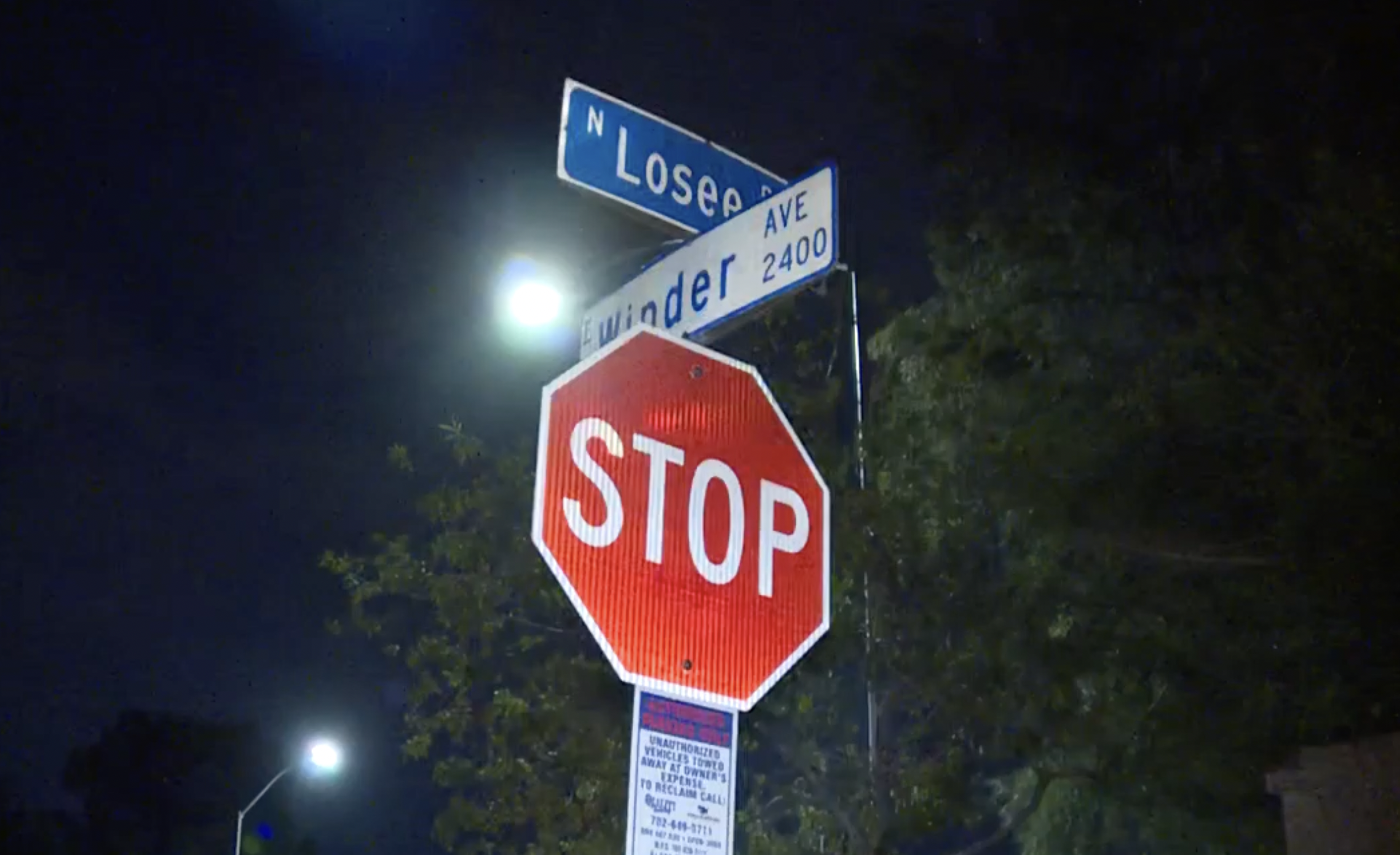 Pregnant juvenile hit by car 