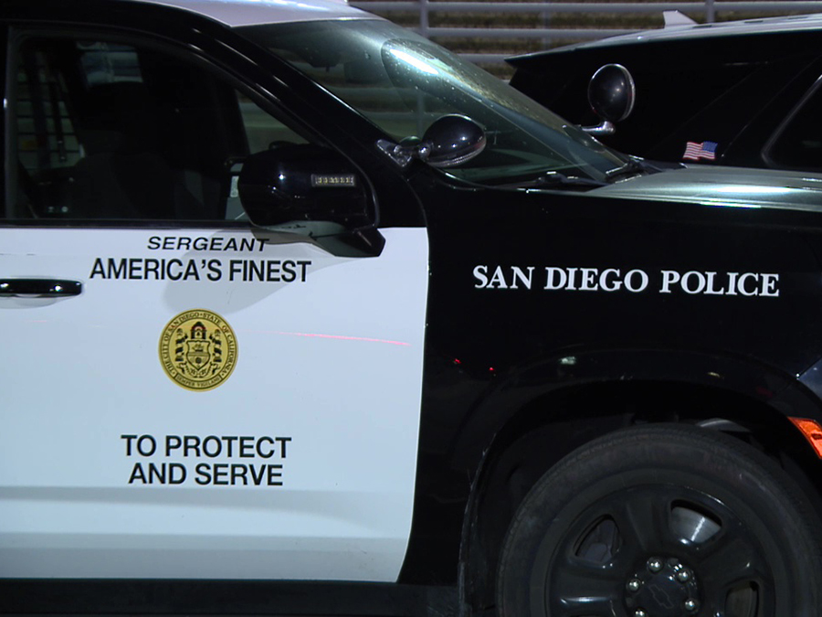 san_diego_police_sdpd_car_cruiser_vehicle.jpg