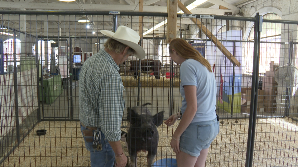 Colorado State Fair 