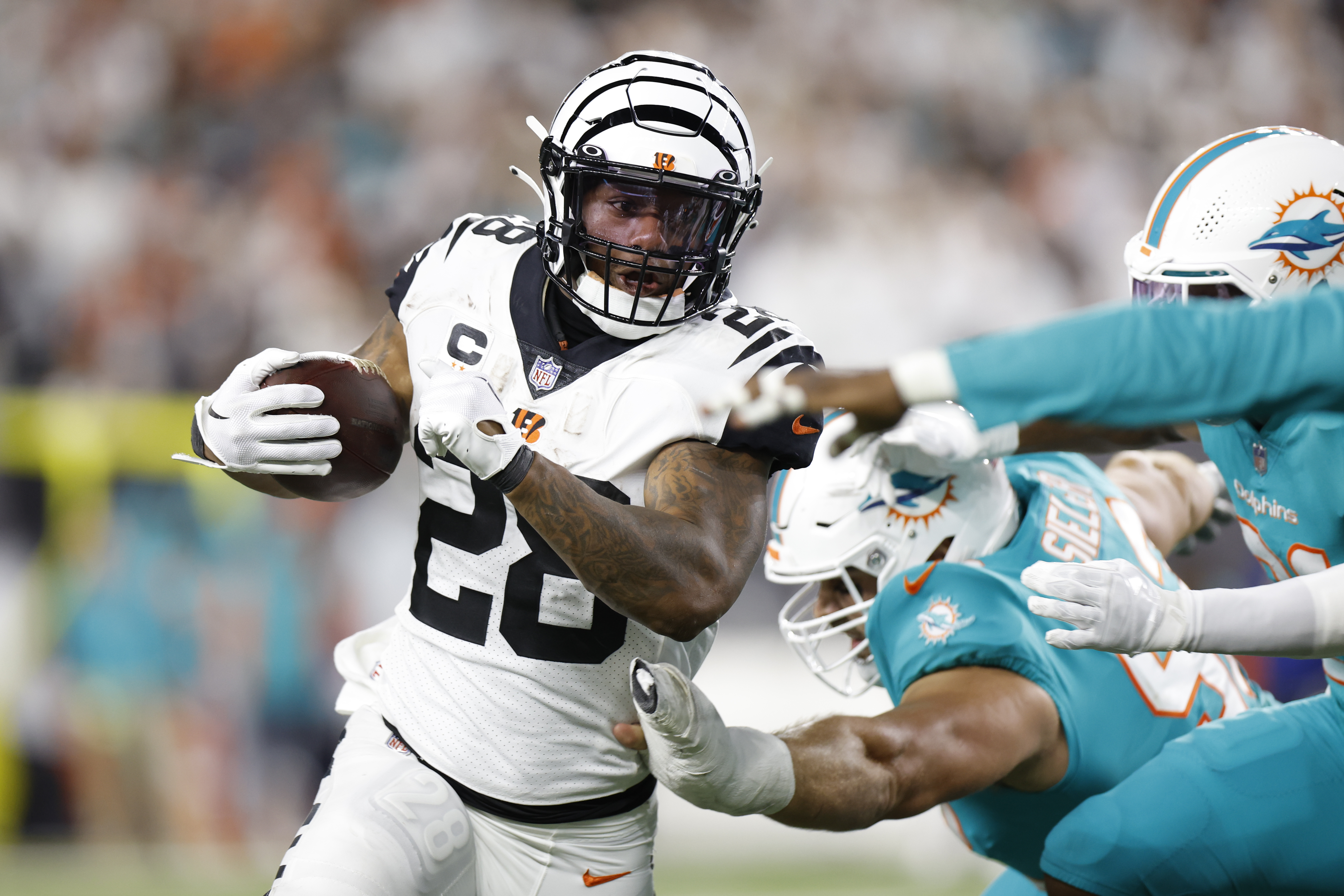 Dolphins Bengals Football