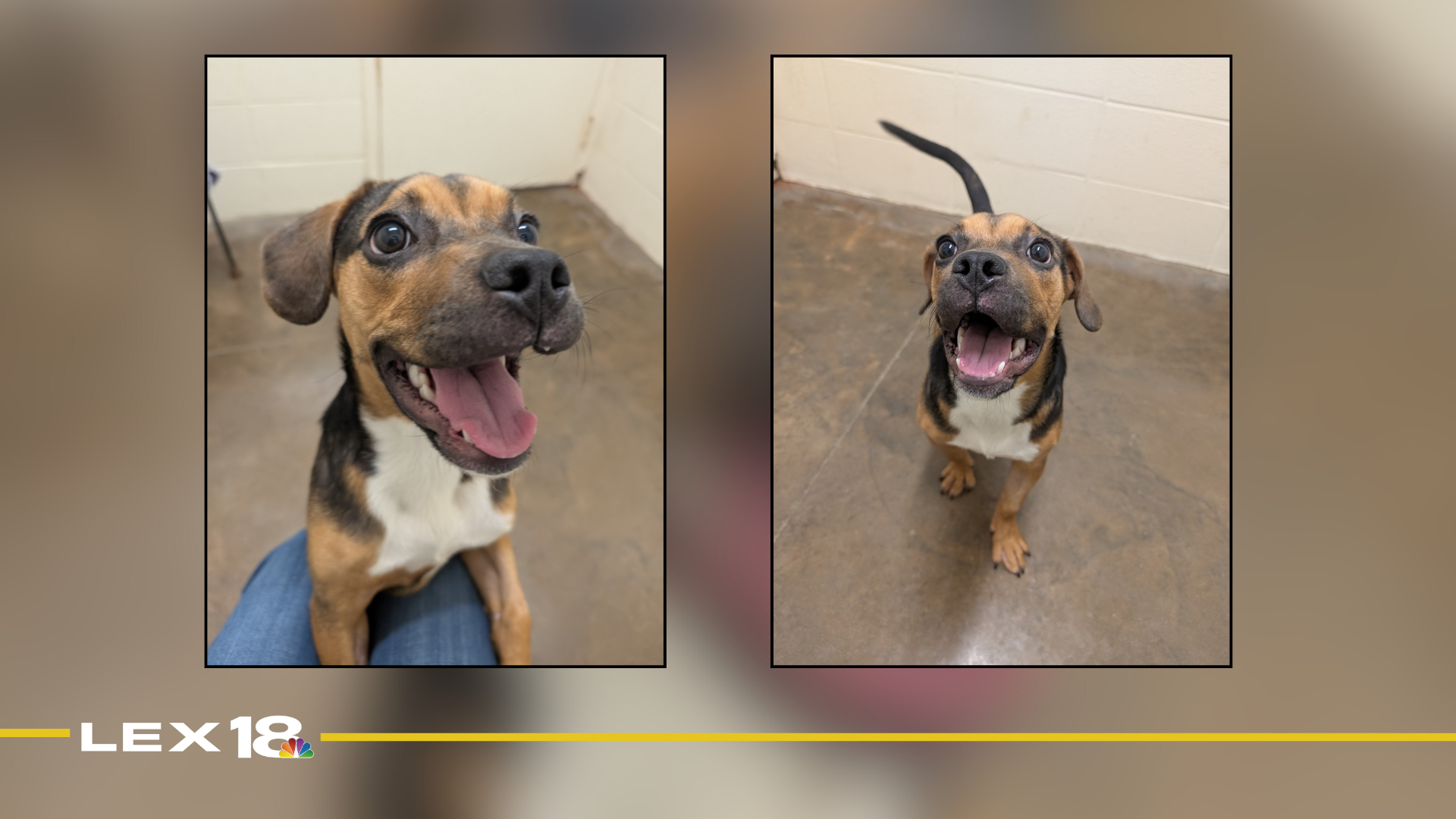 Featured Image Custom Edit (14).png