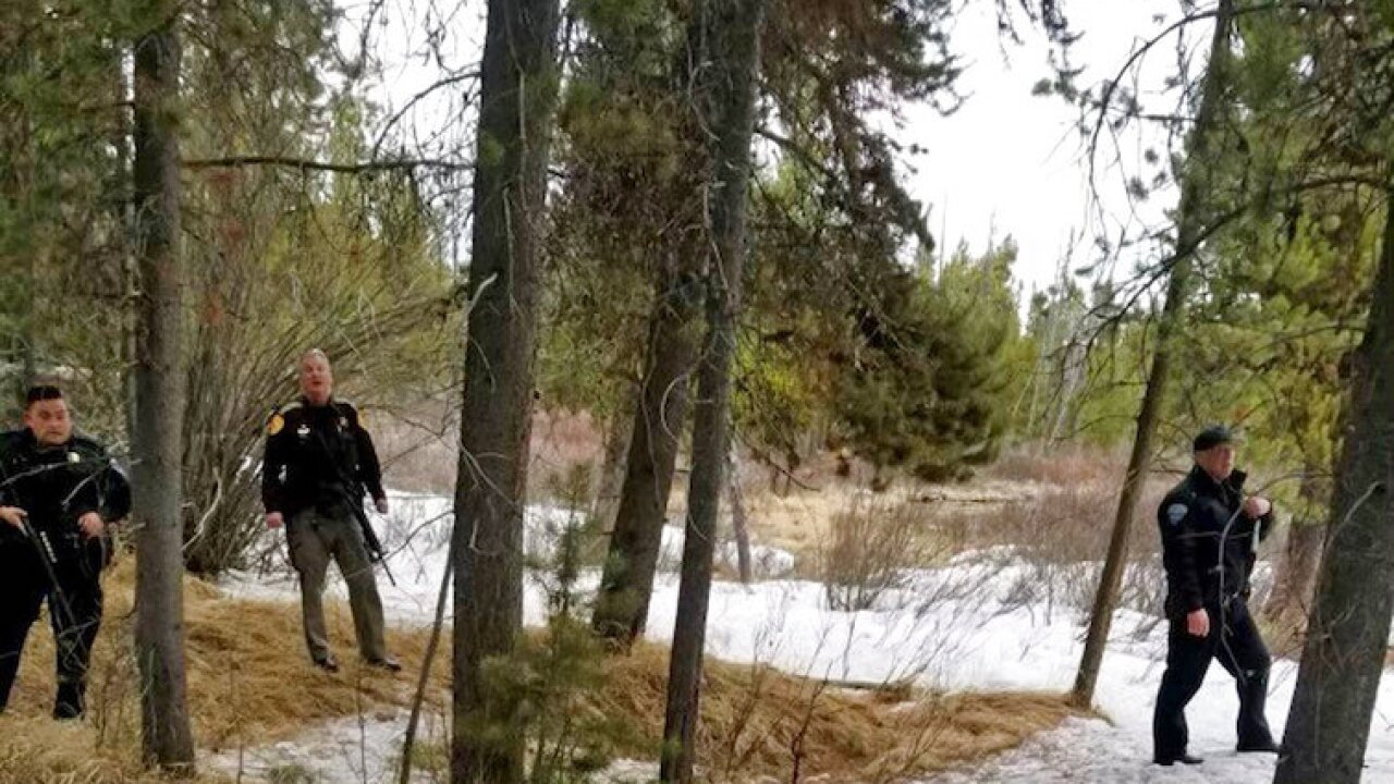 West Yellowstone Fatal Grizzly Bear Attack