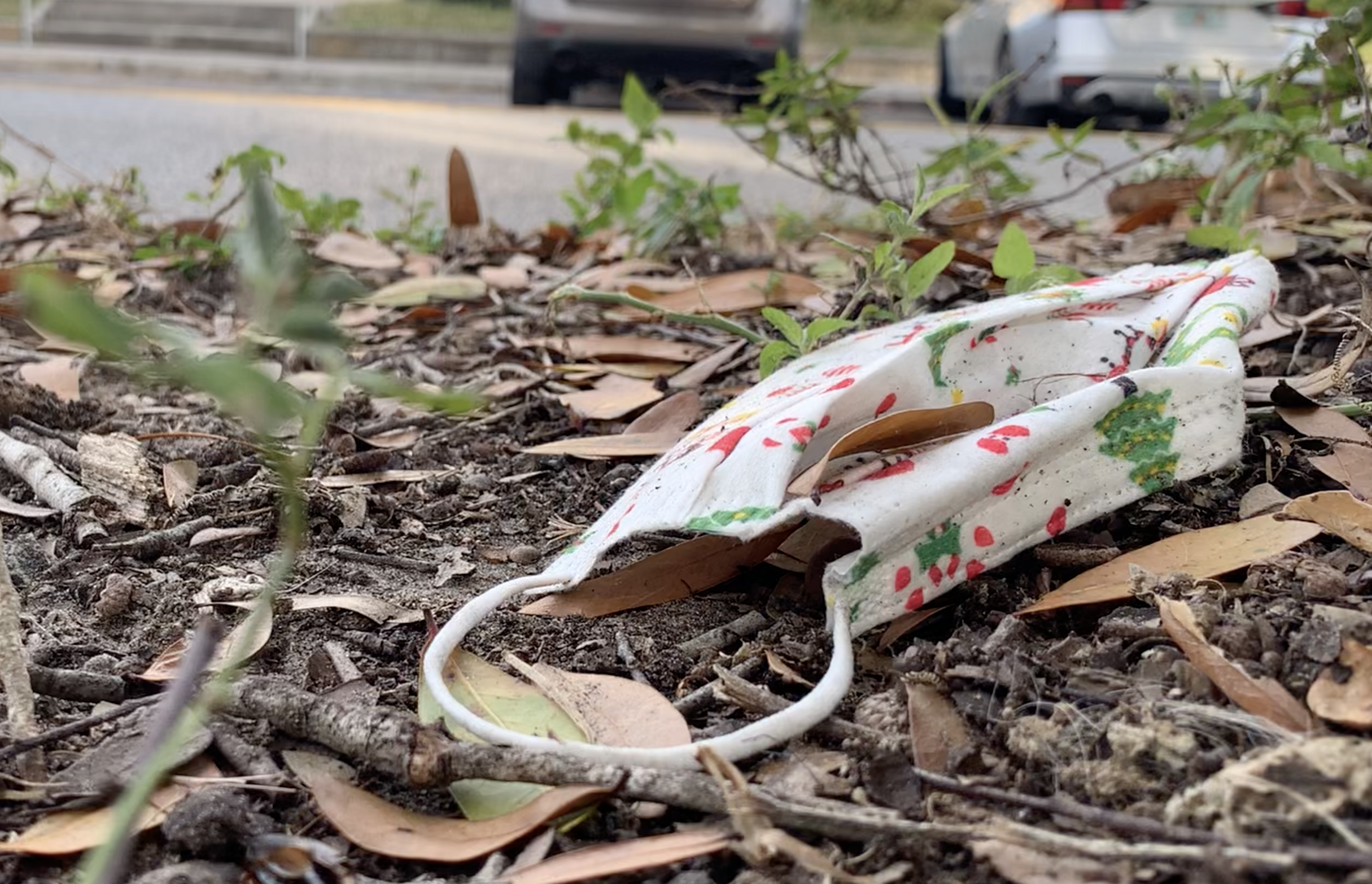 face-mask-littered-on-ground-tampa-bay.png