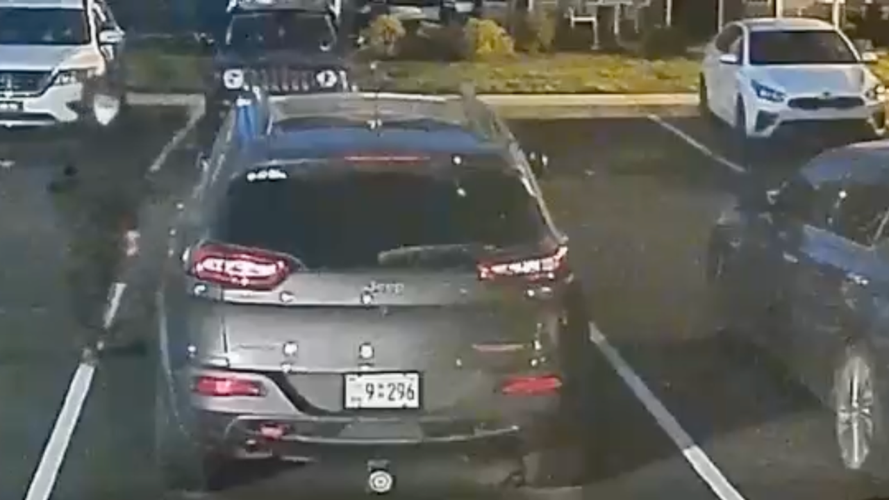 Clarksville police seek help after vehicle burglaries reported