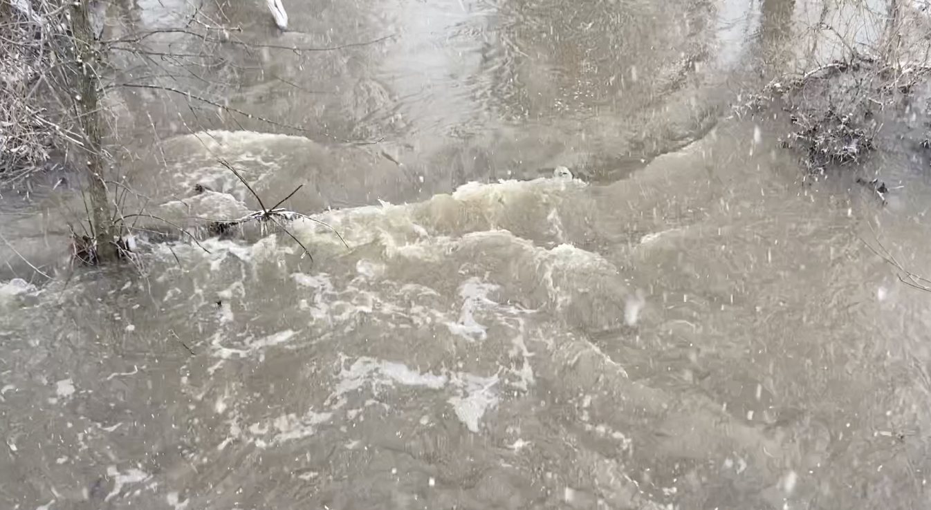 Sycamore Creek in Mason
