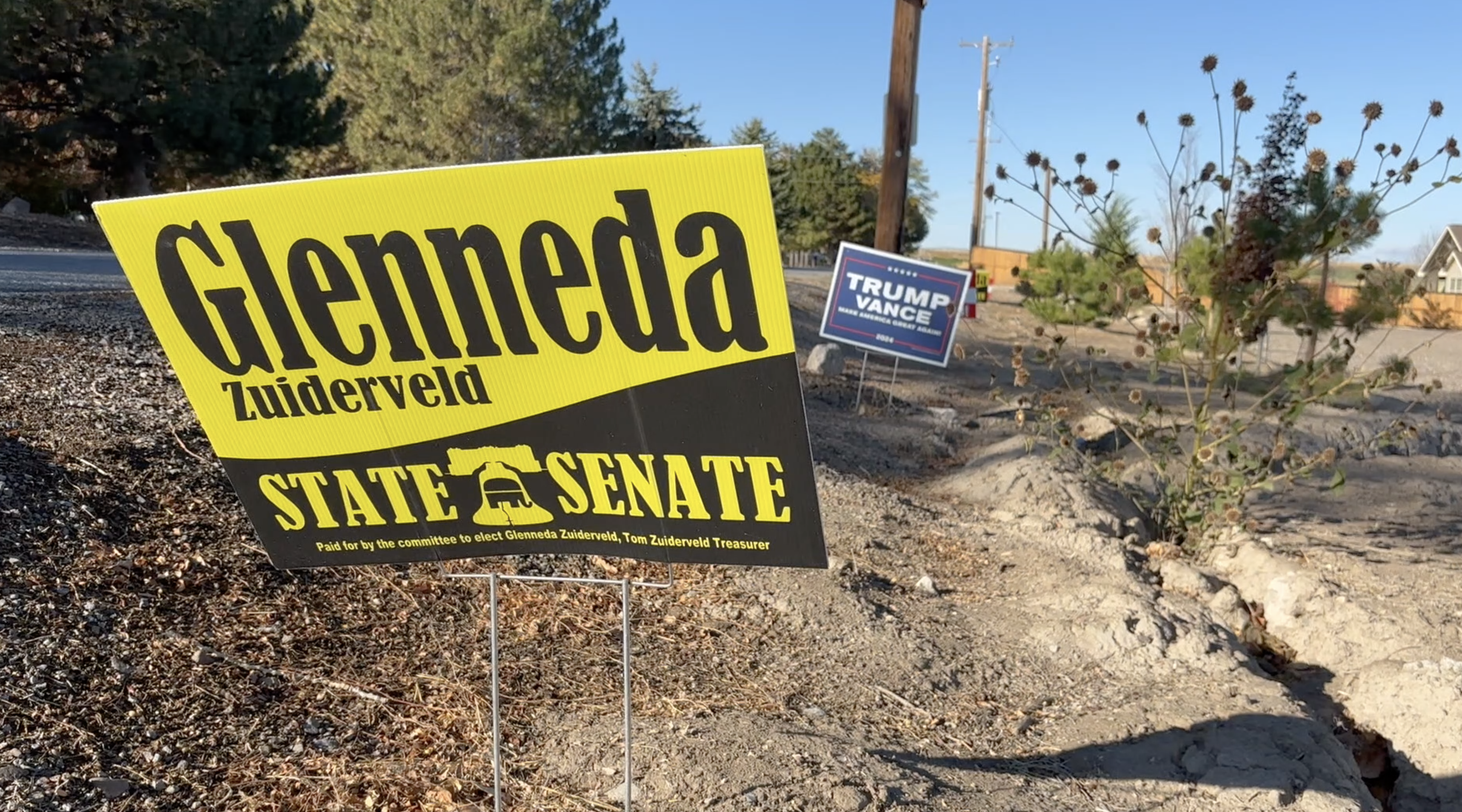 Campaign signs posted along a rural road