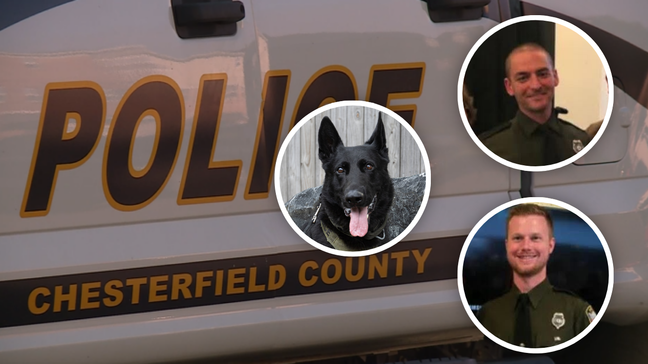 taylor thumbnails - 2026-06-11T104032.083.png