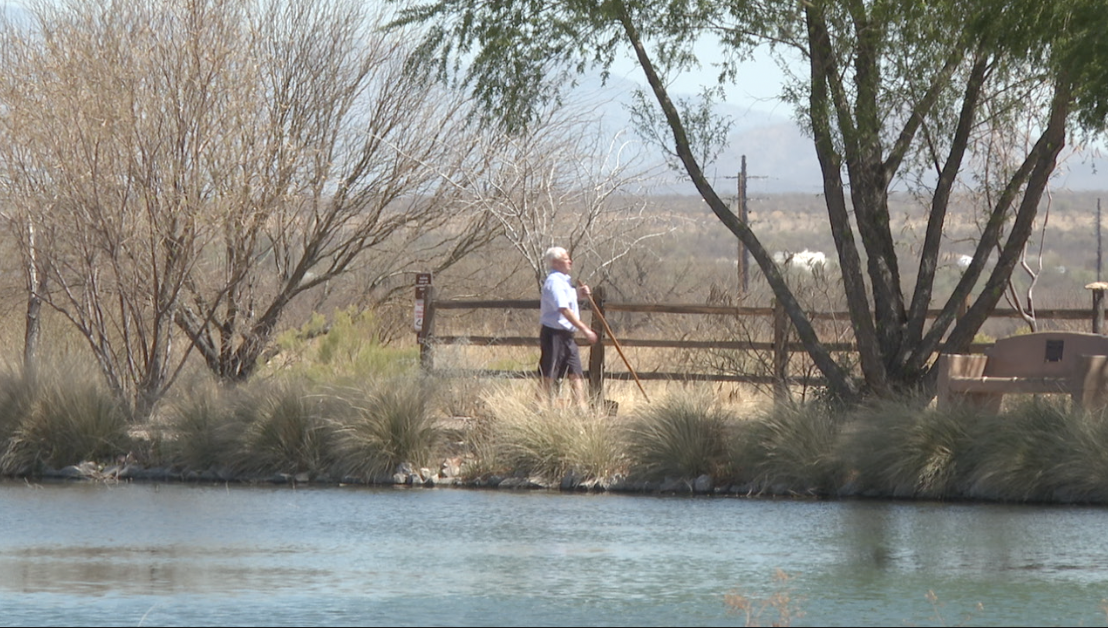 Green Valley celebrates National Take a Walk in the Park Day with Walkathon at Canoa Ranch
