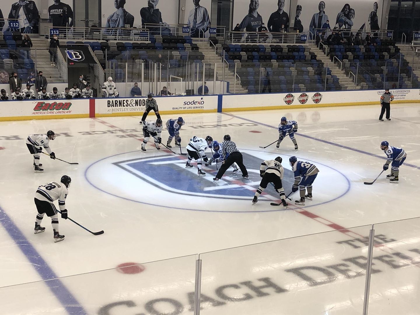 Air Force hockey falls at Bentley in return from COVID-19 quarantine 